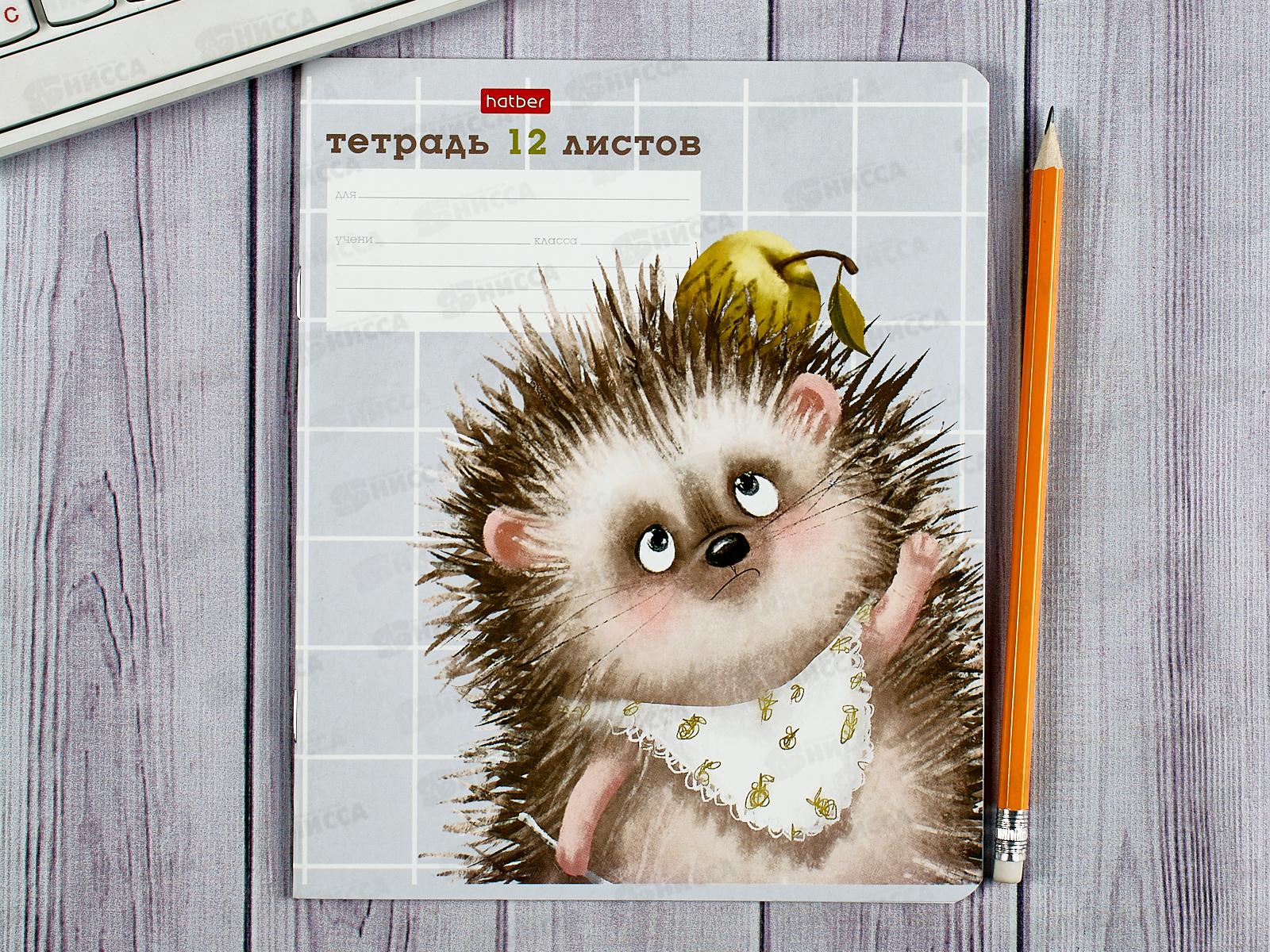 Тетрадь 12листов клетка Hatber Хорошо быть ежиком,080068 *10/140