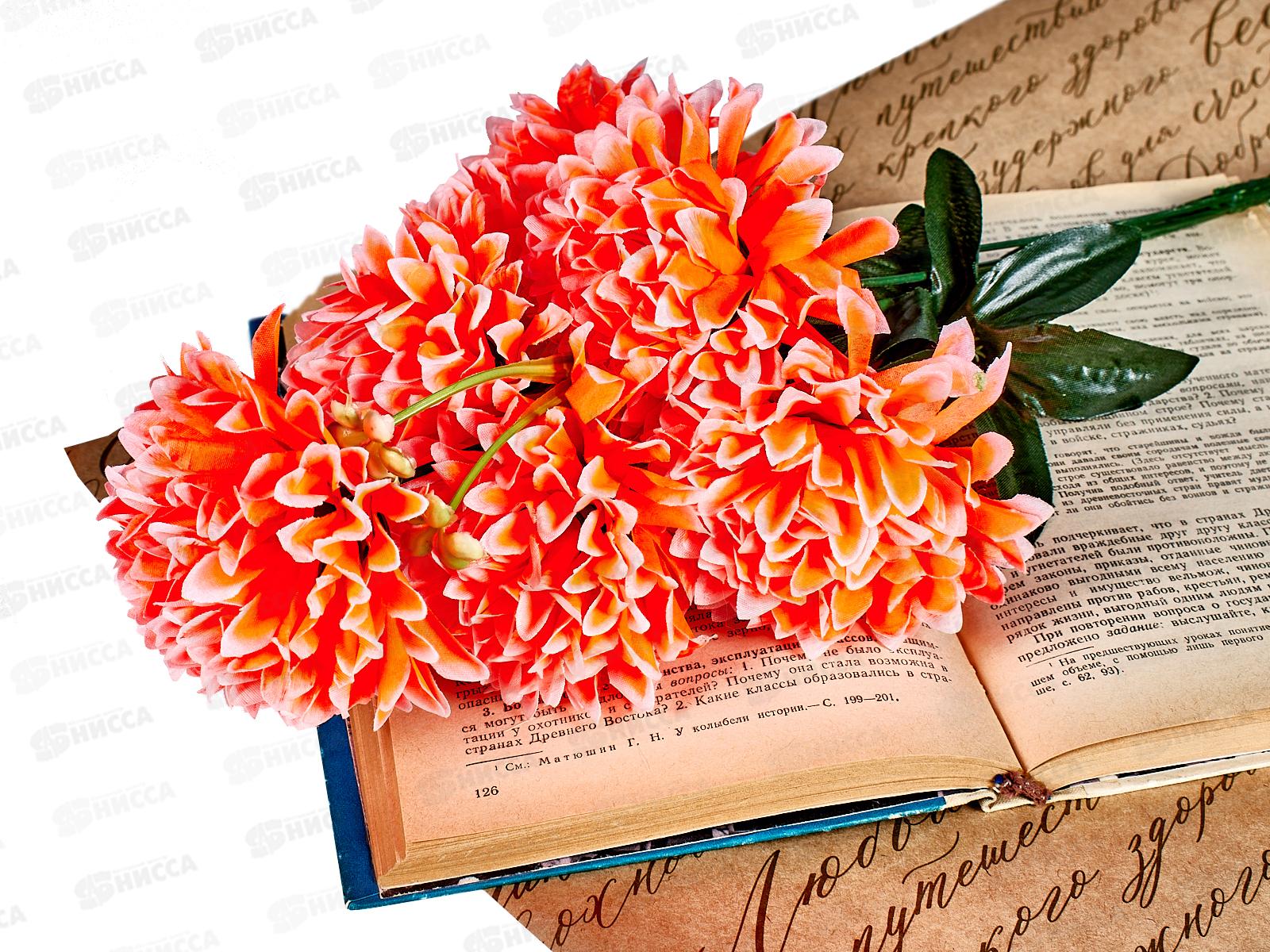 Букет Гвоздик 6голов №А-57  42491 *2/20