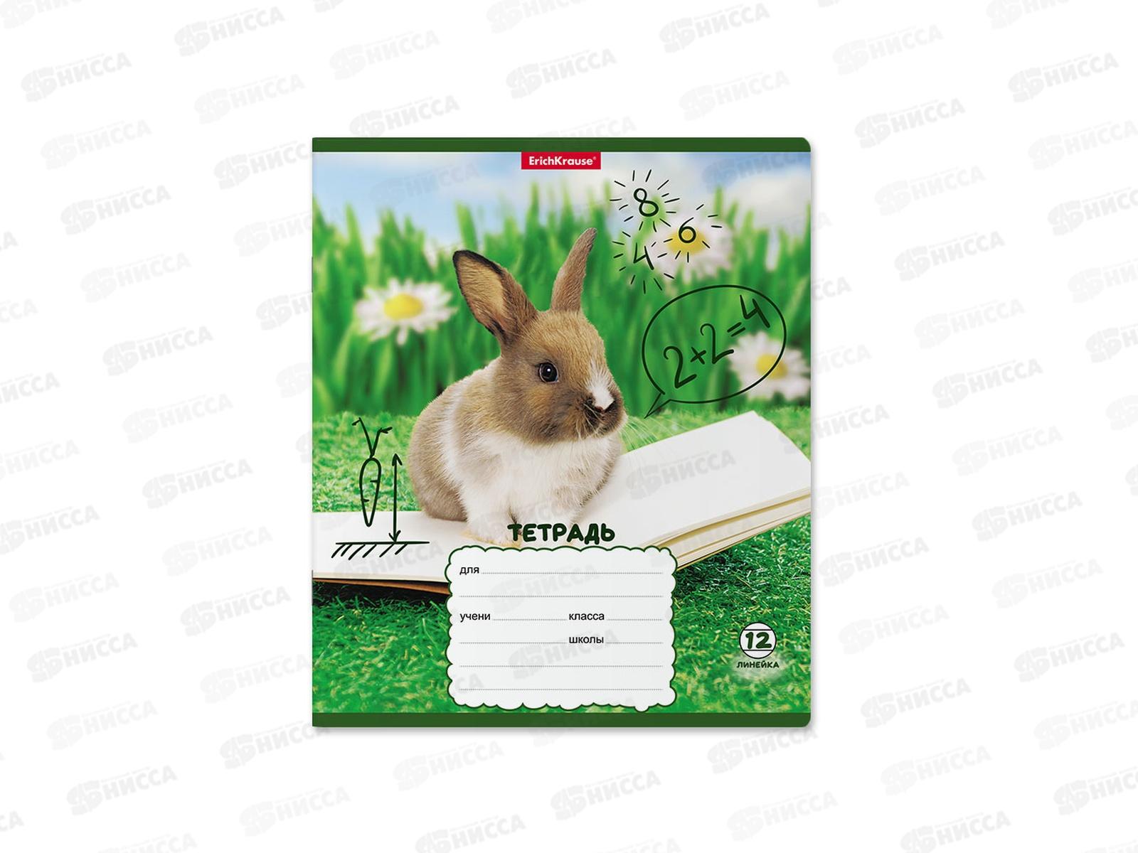 Тетрадь 12листов линия ПОЛИ Кролики,58246*10/280