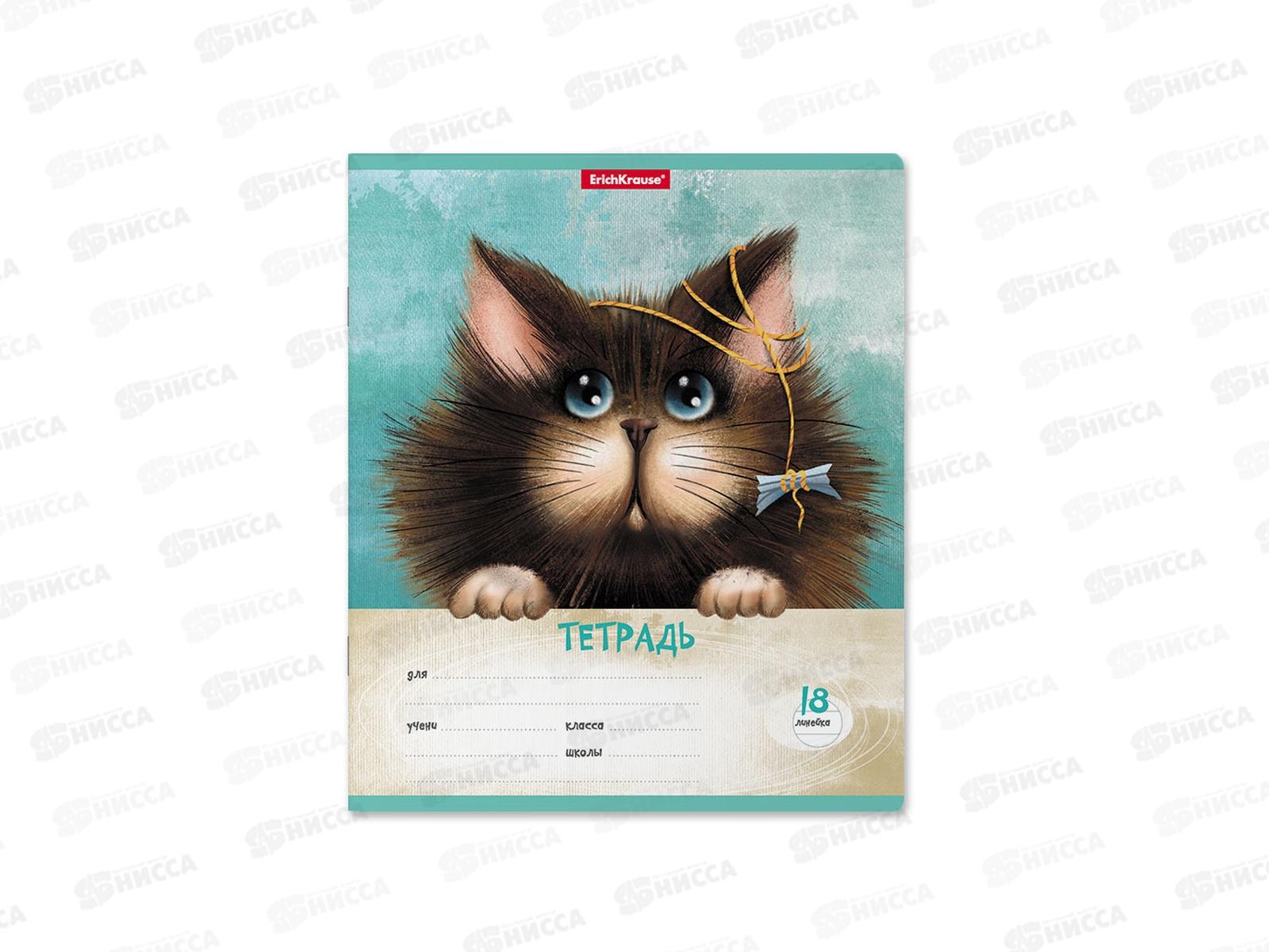 Тетрадь 18листов линия ПОЛИ Funny Cats, 54194*10/200