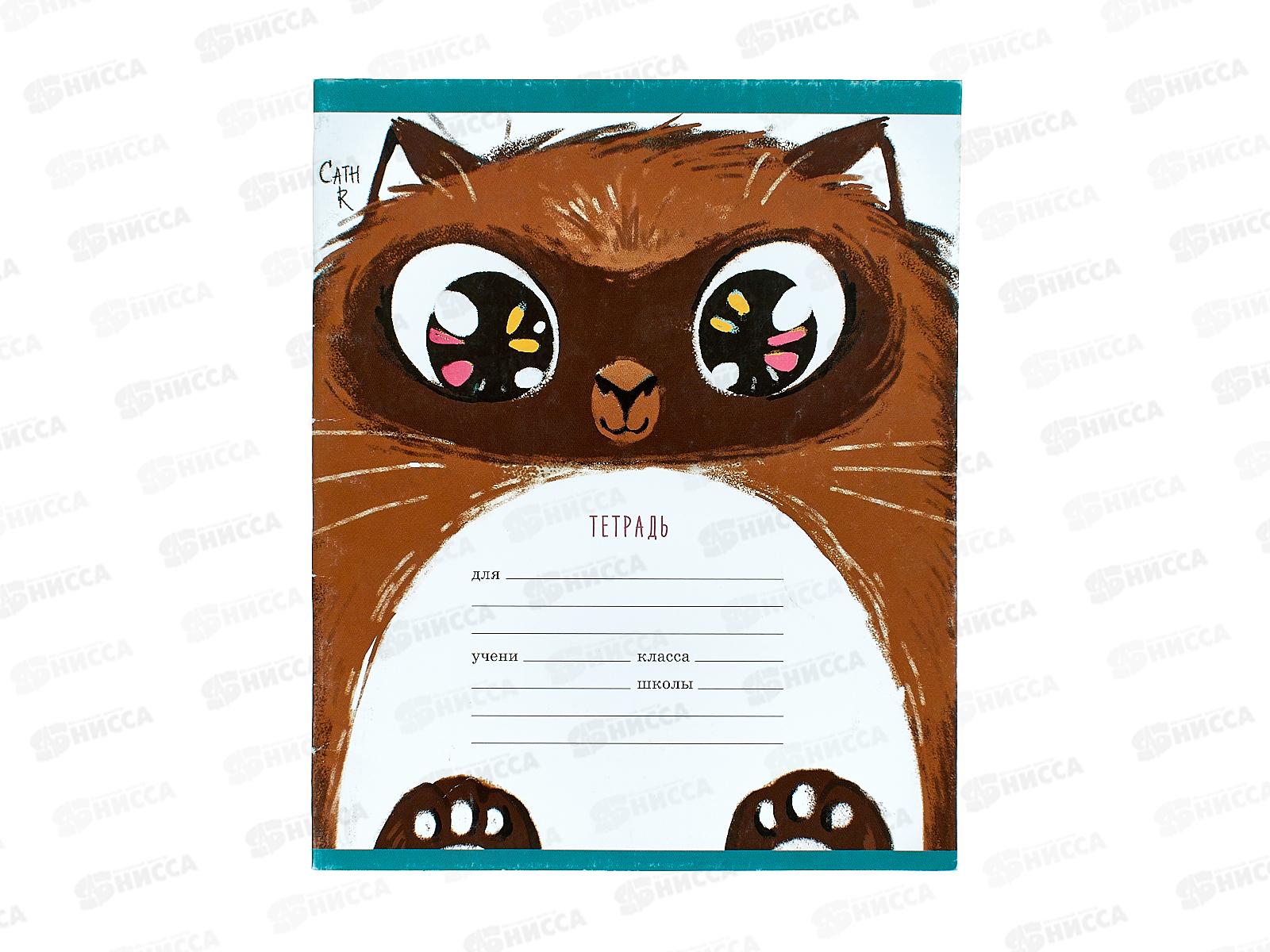 Тетрадь 12листов клетка ЭКСМ Пушистые котики ТК128279 *100