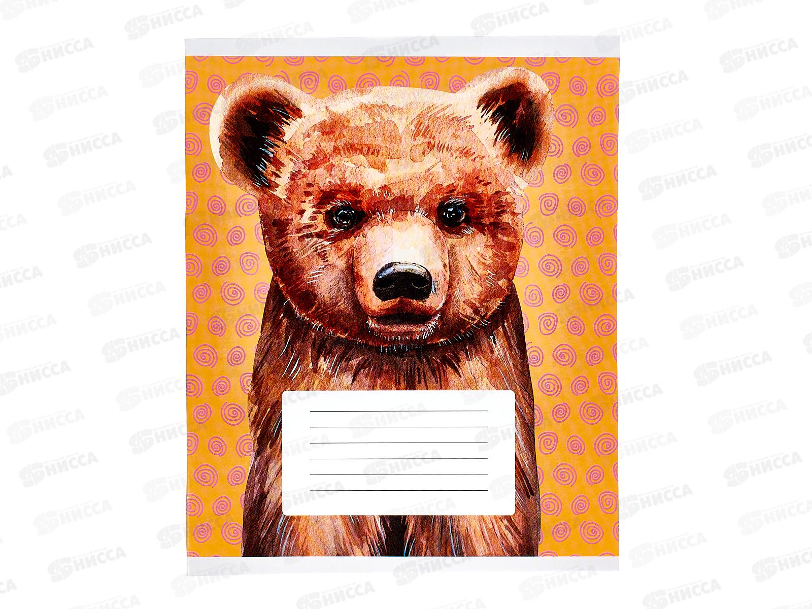 Тетрадь 24листа клетка ЭКСМ Зверята (универсальная плашка) ТК248303 *60