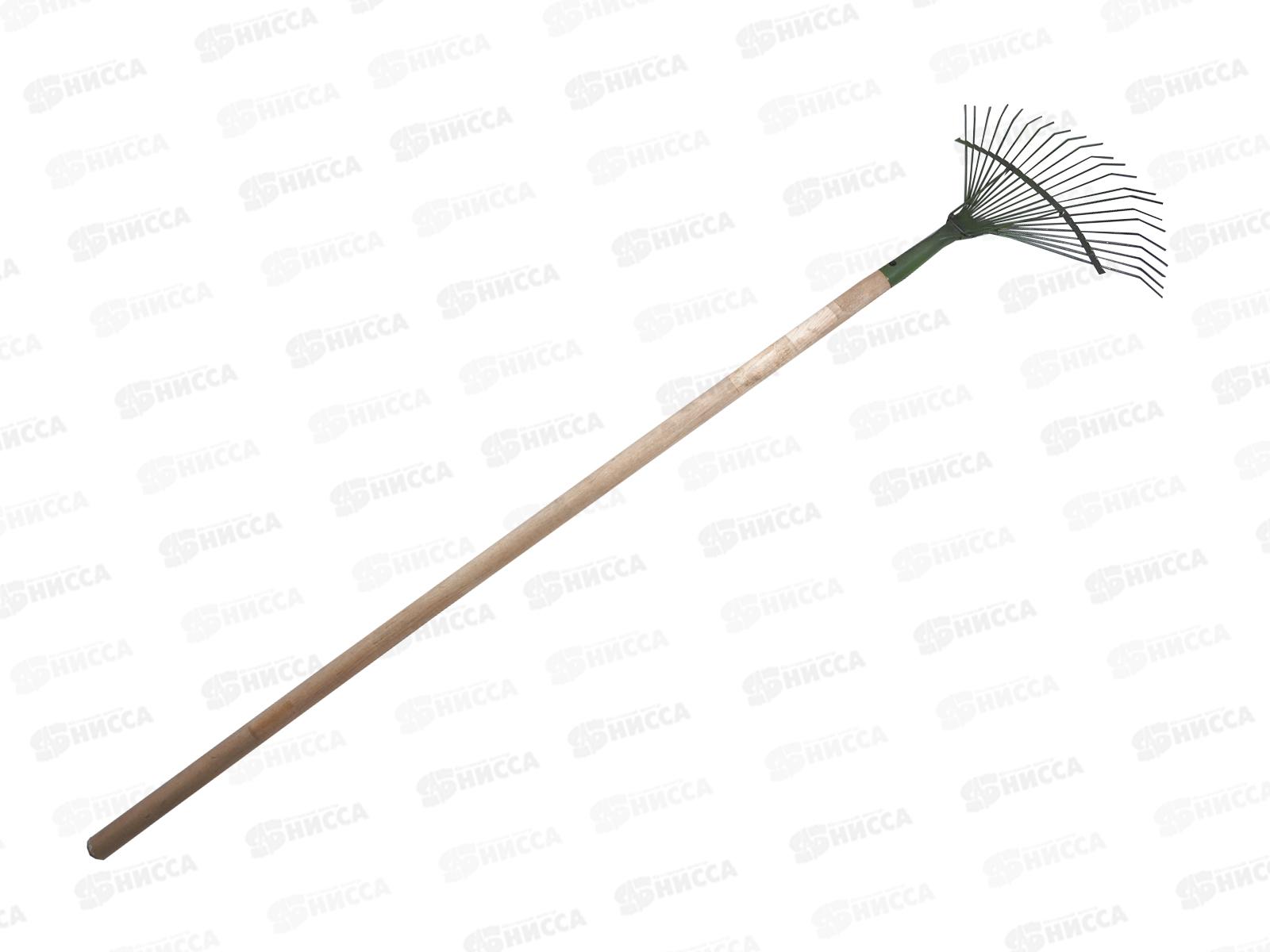 Грабли веерные проволочные порошок 22 зуба (Павлово) с черенком