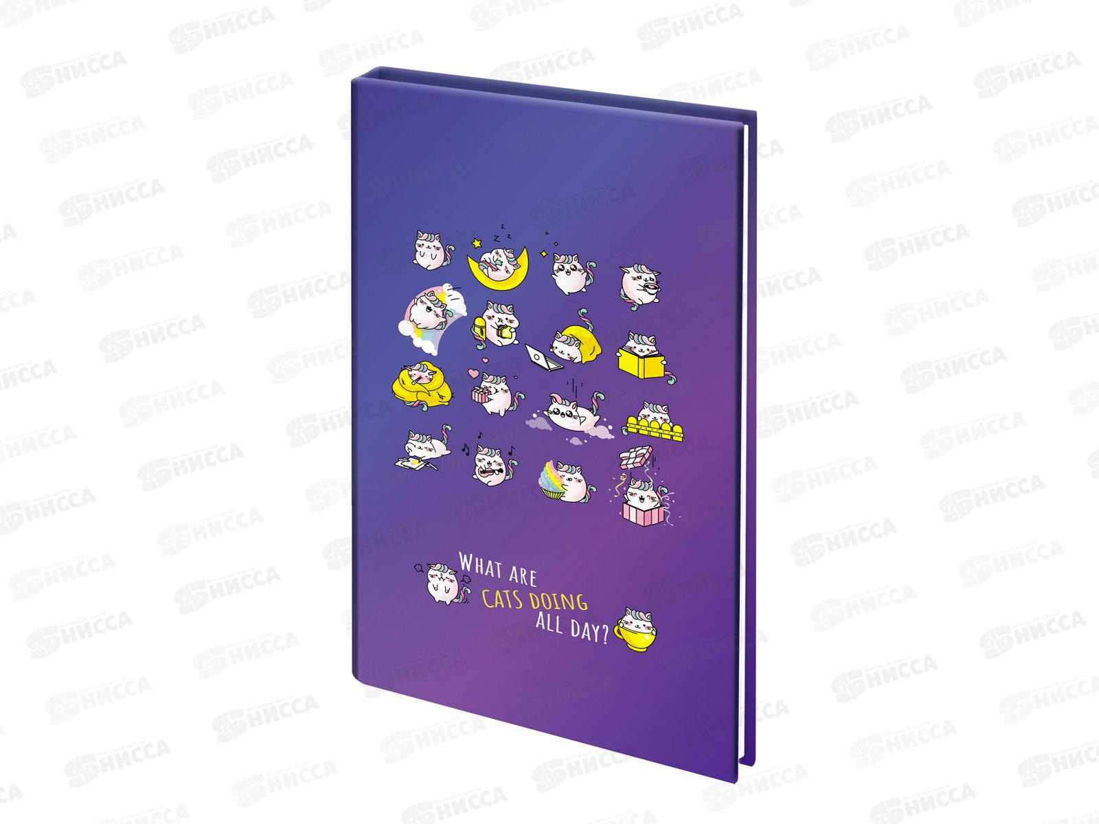 Блокнот 80л BRAU А5 Котики, 114417*40