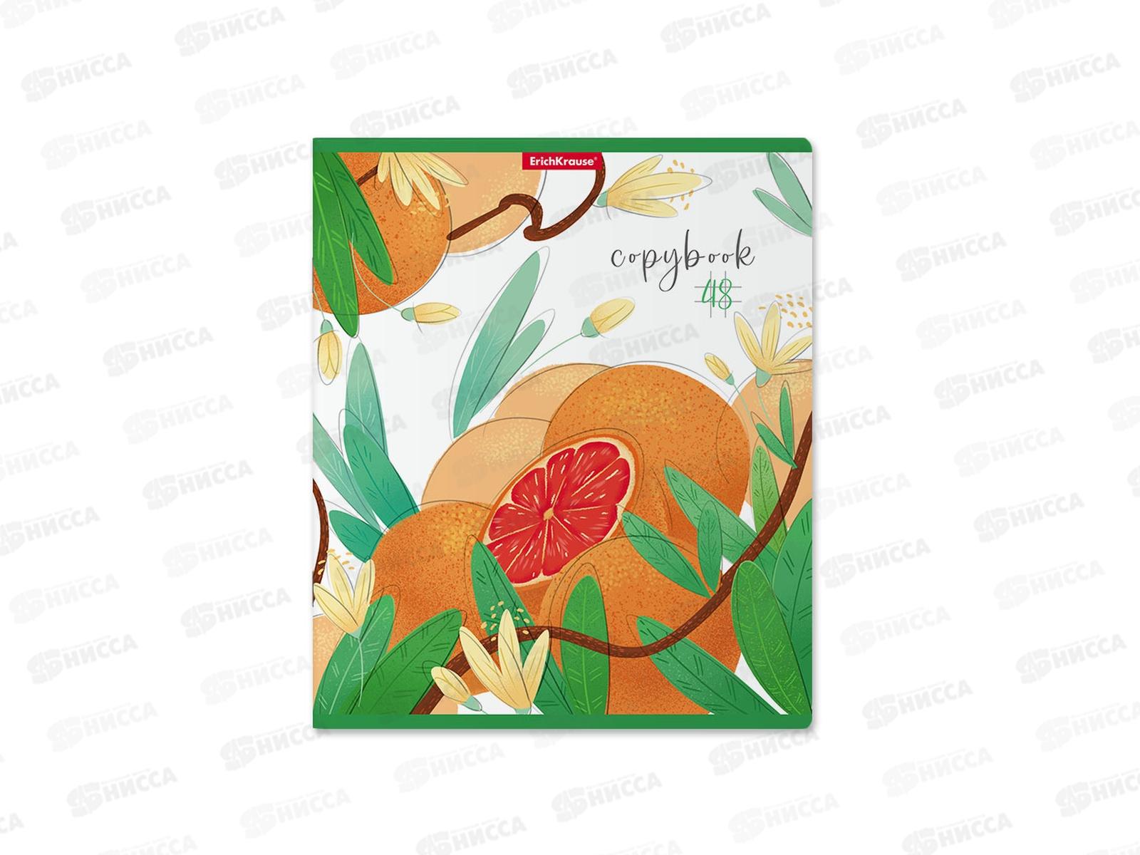 Тетрадь 48л кл. ПОЛИ Juicy Fruits 58280*5/100