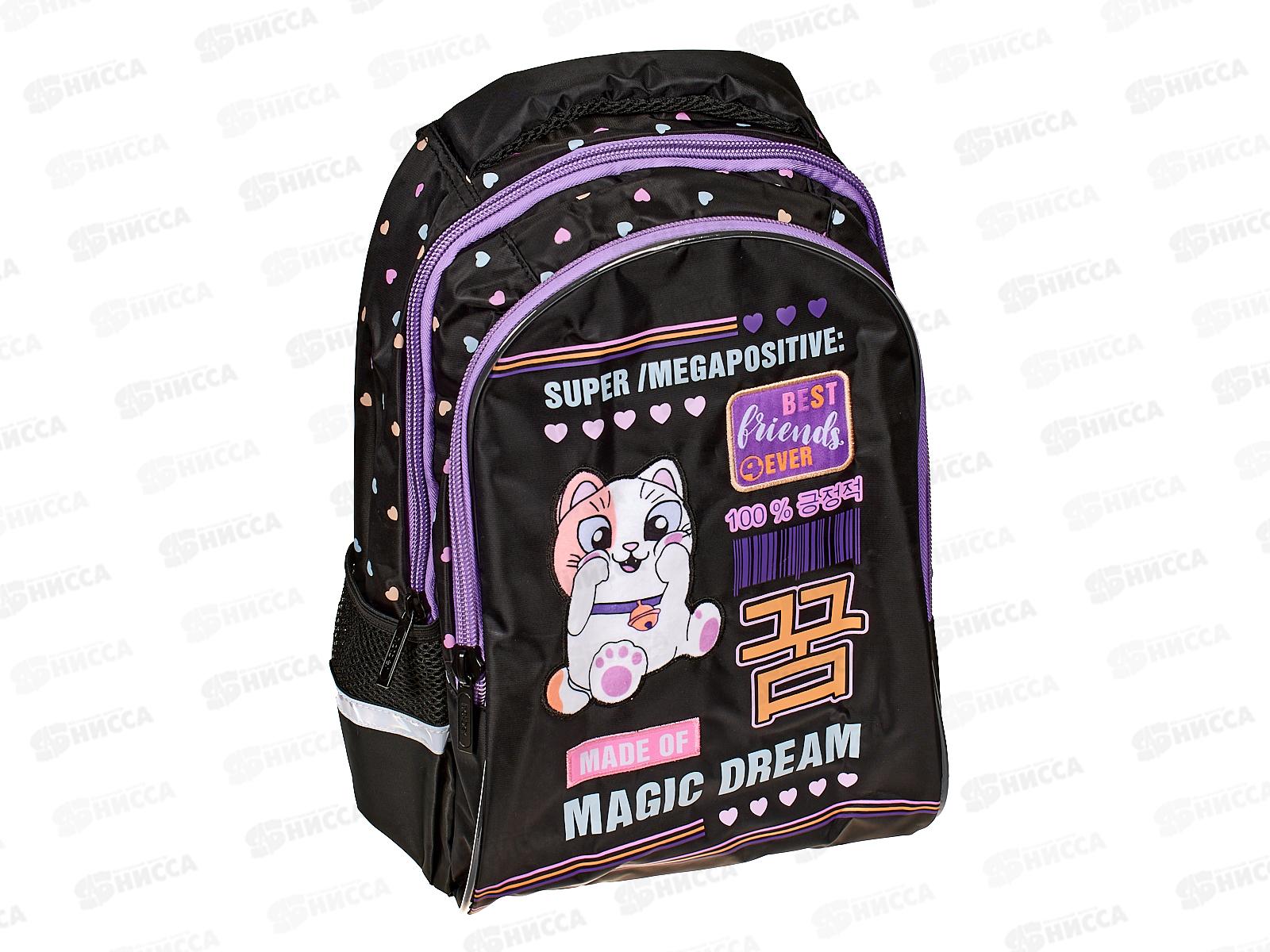 Рюкзак Hatber Basic Кот-мечтатель, 41*26*19,77088