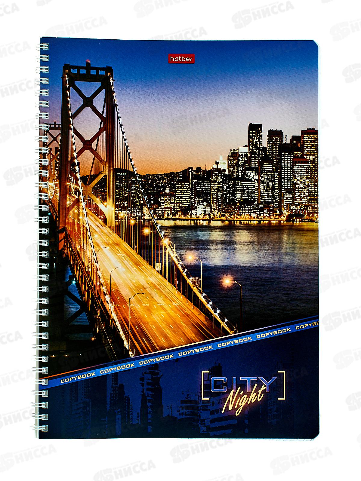 Тетрадь 96л кл. Hatber А4 Ночной город  гребень*4/24