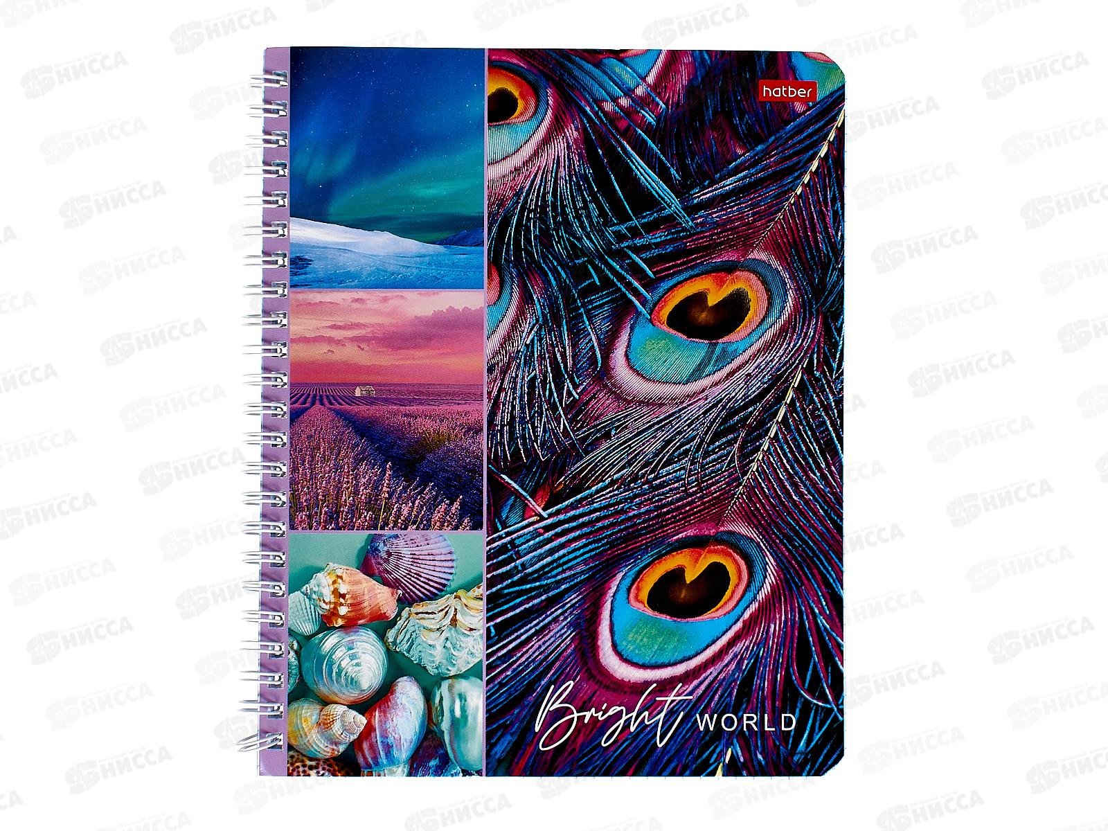 Тетрадь 80листов клетка  Hatber Яркая жизнь,греб.*4/56