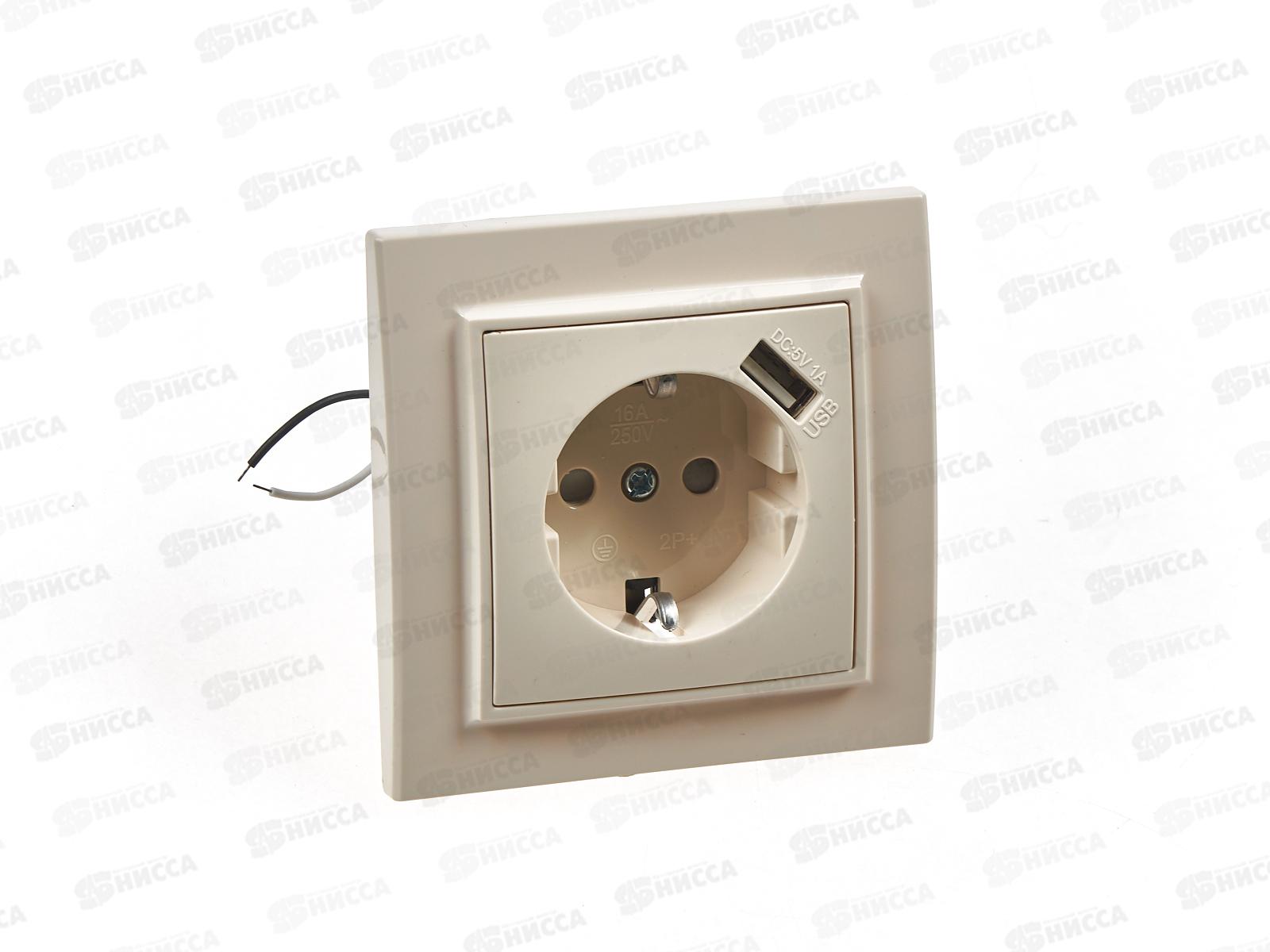 Розетка Эрна 1-местная, с заземлением, с защитной шторкой и с USB, PST16-9011-02, слоновая кость