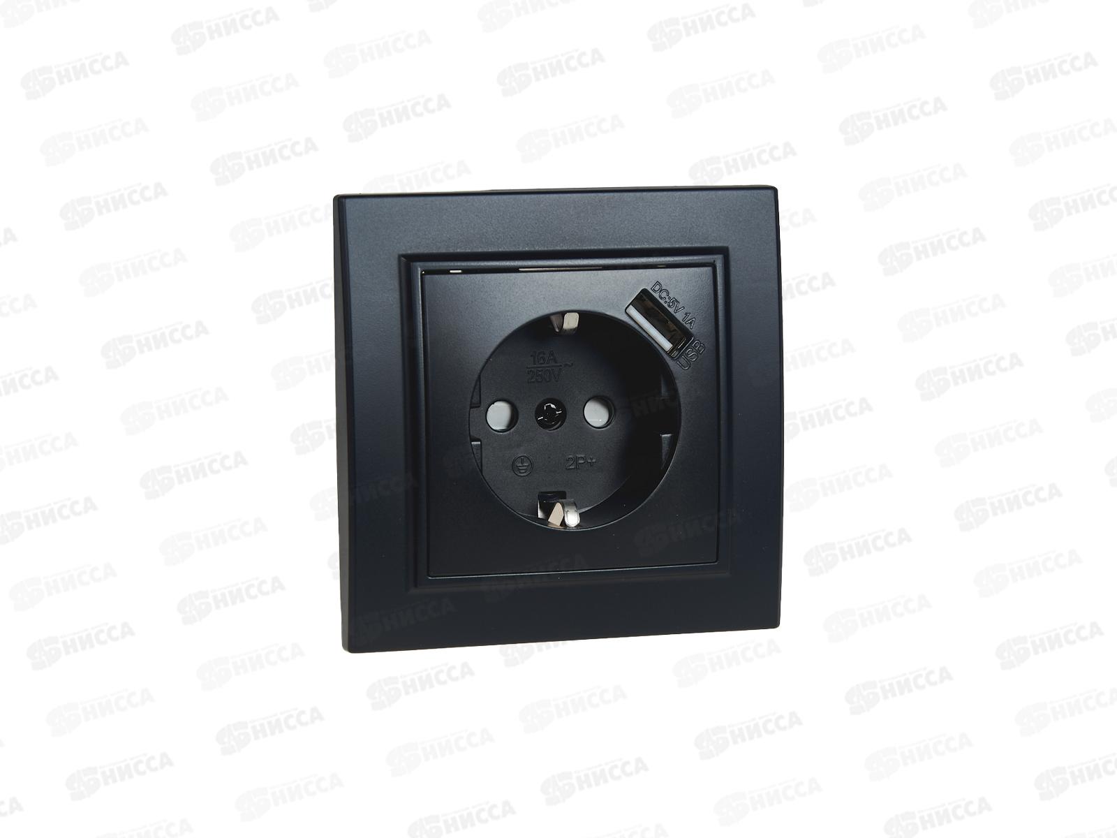 Розетка Эрна 1-местная, с заземлением, с защитной шторкой и с USB, PST16-9011-03, черный