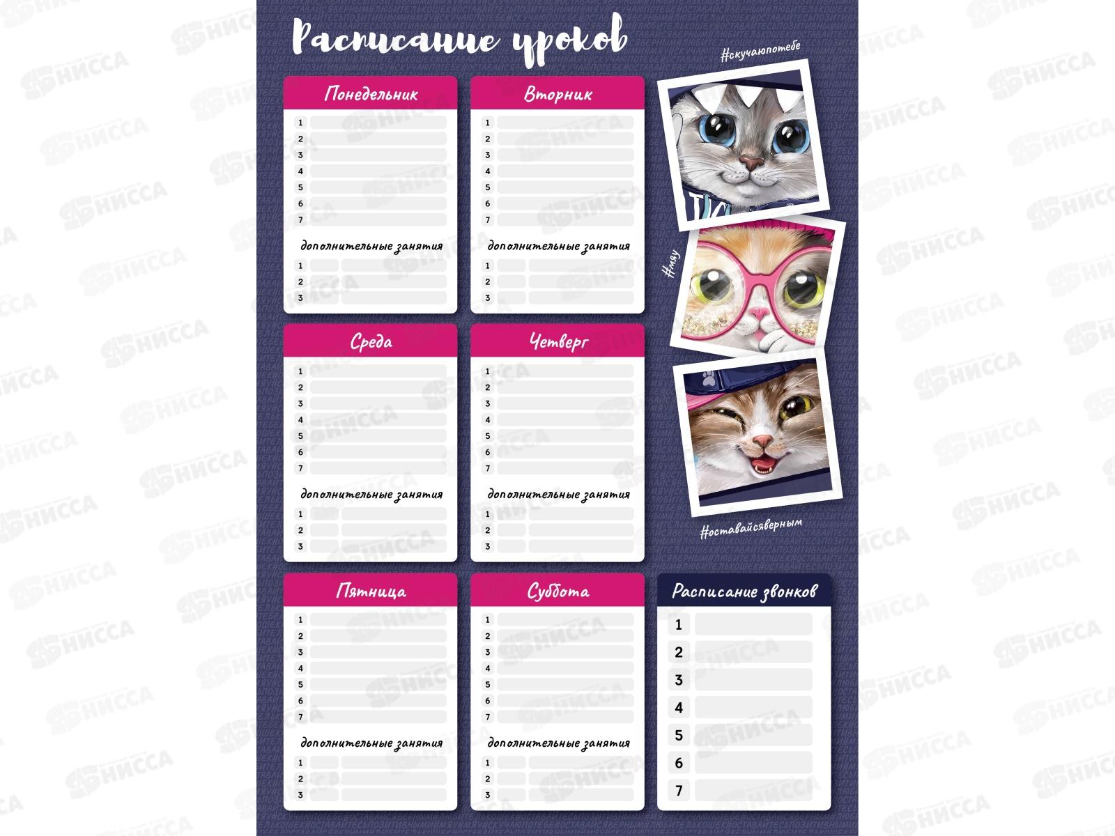 Расписание уроков А3 ФЕН Коты,63555*50/100