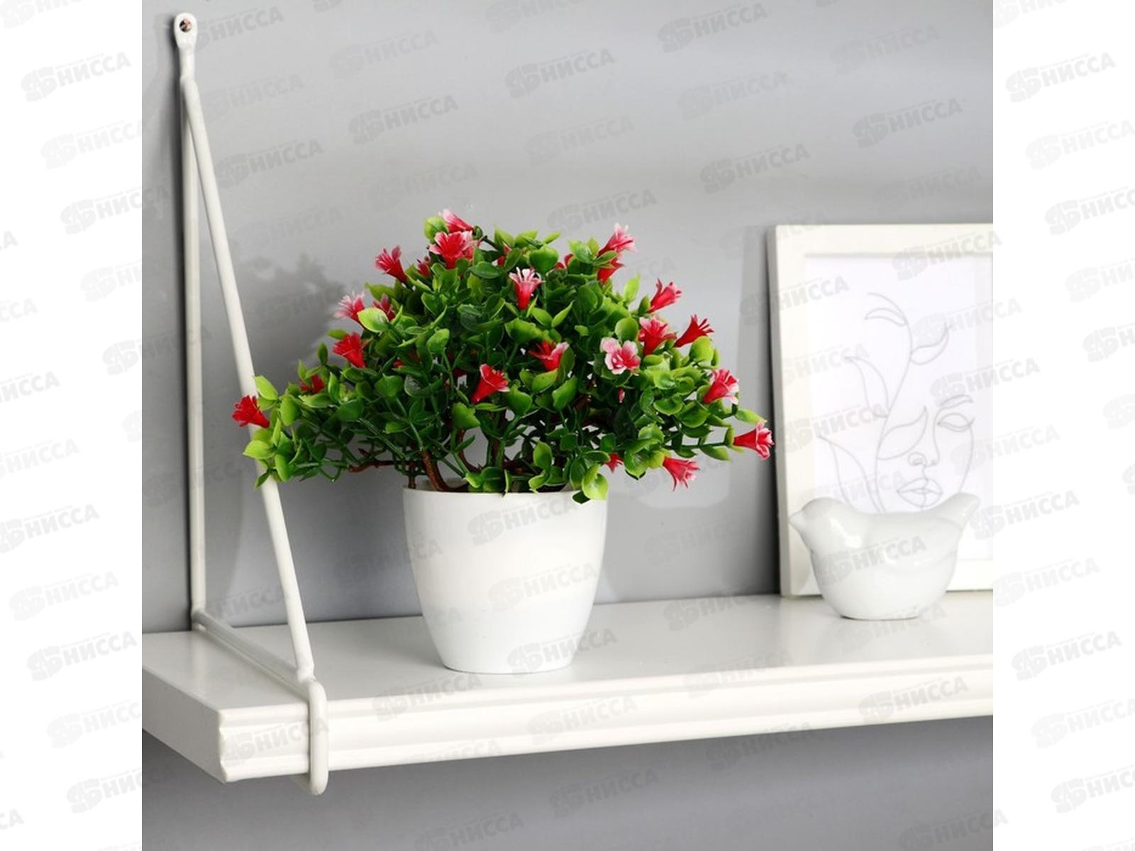 Бонсай в горшке &quotПримула галант&quot 17*19см микс 9222733