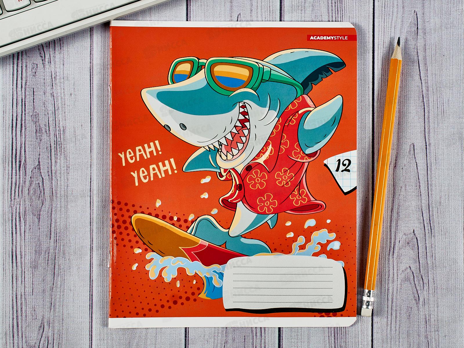 Тетрадь 12листов клетка  АКАД Крутые виражи., EAC-10550/5 *20/120