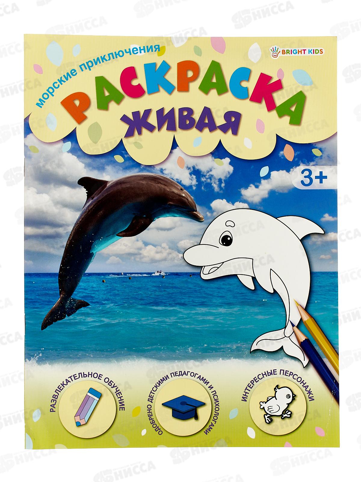 Раскраска ПП А4  8л Морские приключения, Р-0098 *50