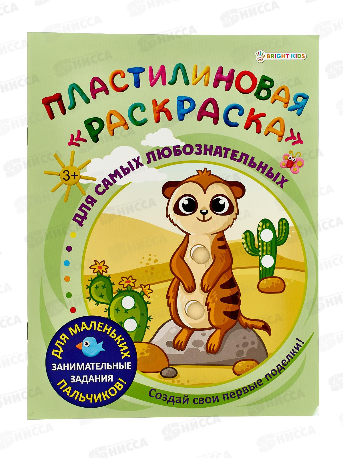 Раскраска пластилиновая ПП Для самых любознательных, 6л,  АКТ-8891