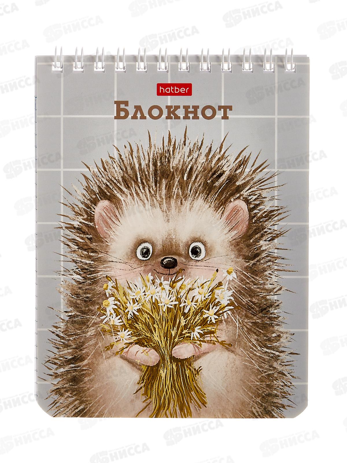 Блокнот 40л Hatber А6 Хорошо быть ёжиком *6/96