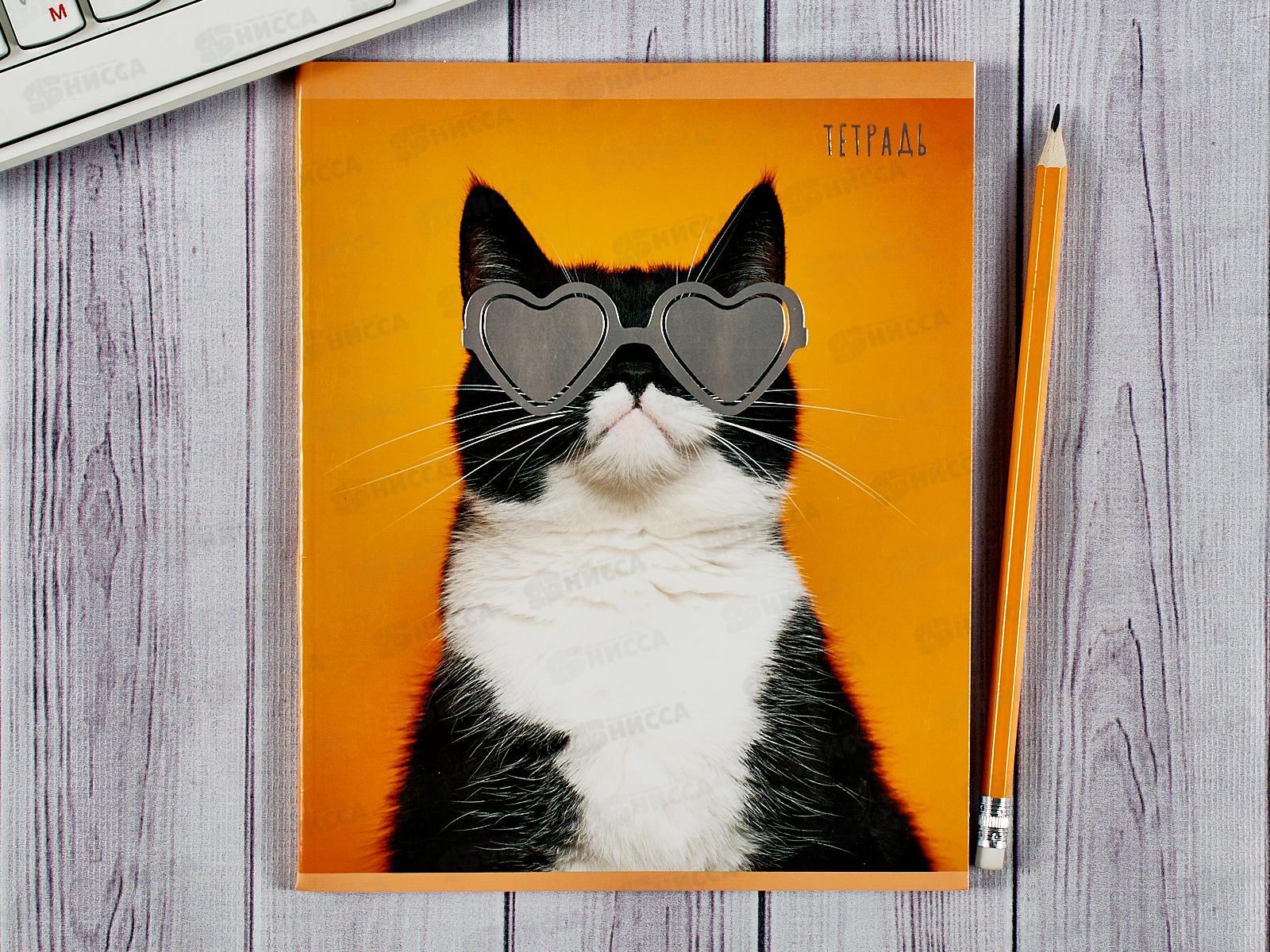 Тетрадь 48листов клетка ЭКСМ Стиляги, 5 видов ТКФ488459 *10/100