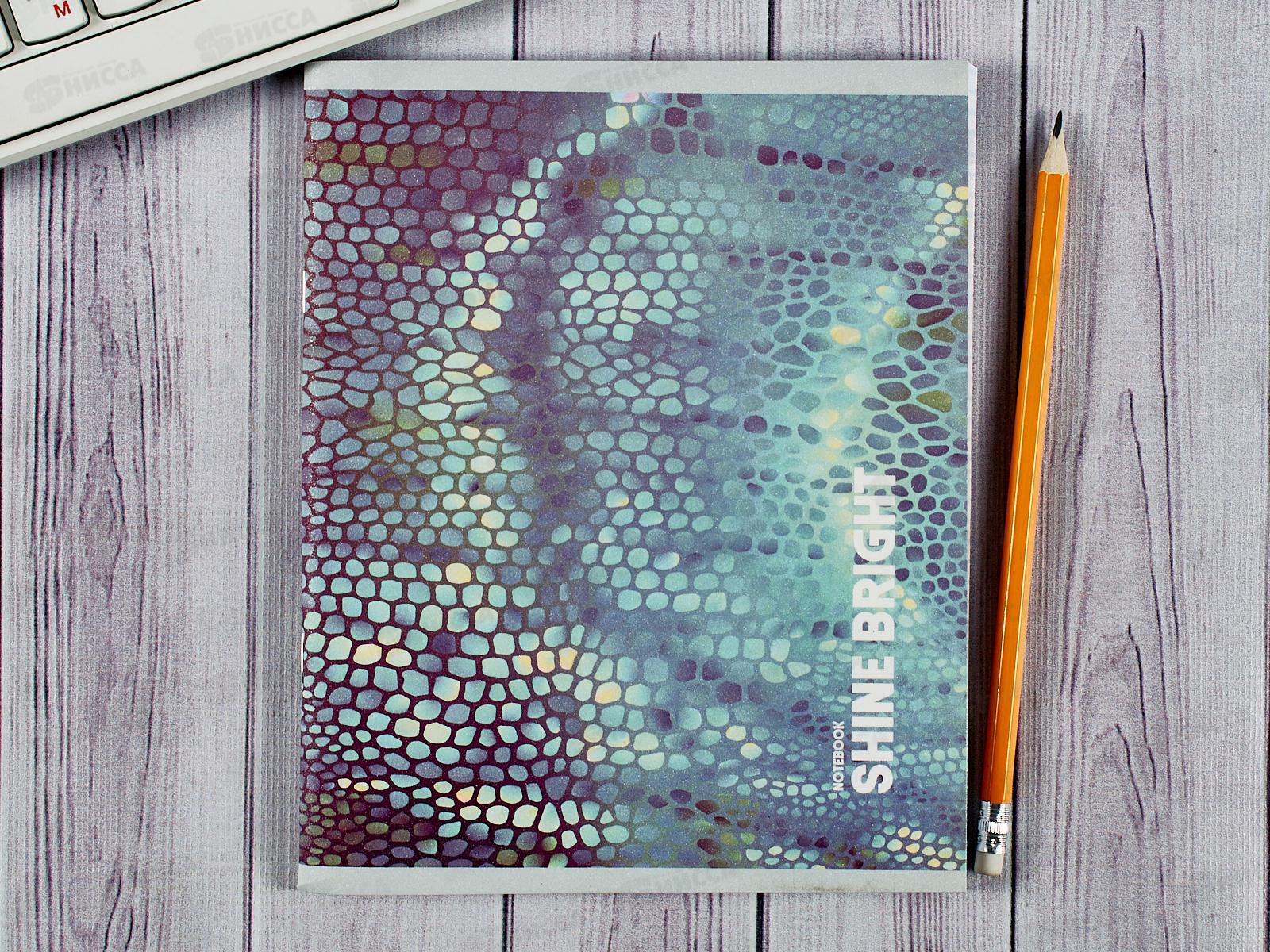 Тетрадь 96листов клетка  ЭКСМ А5  Блеск ТК968034 *5/50