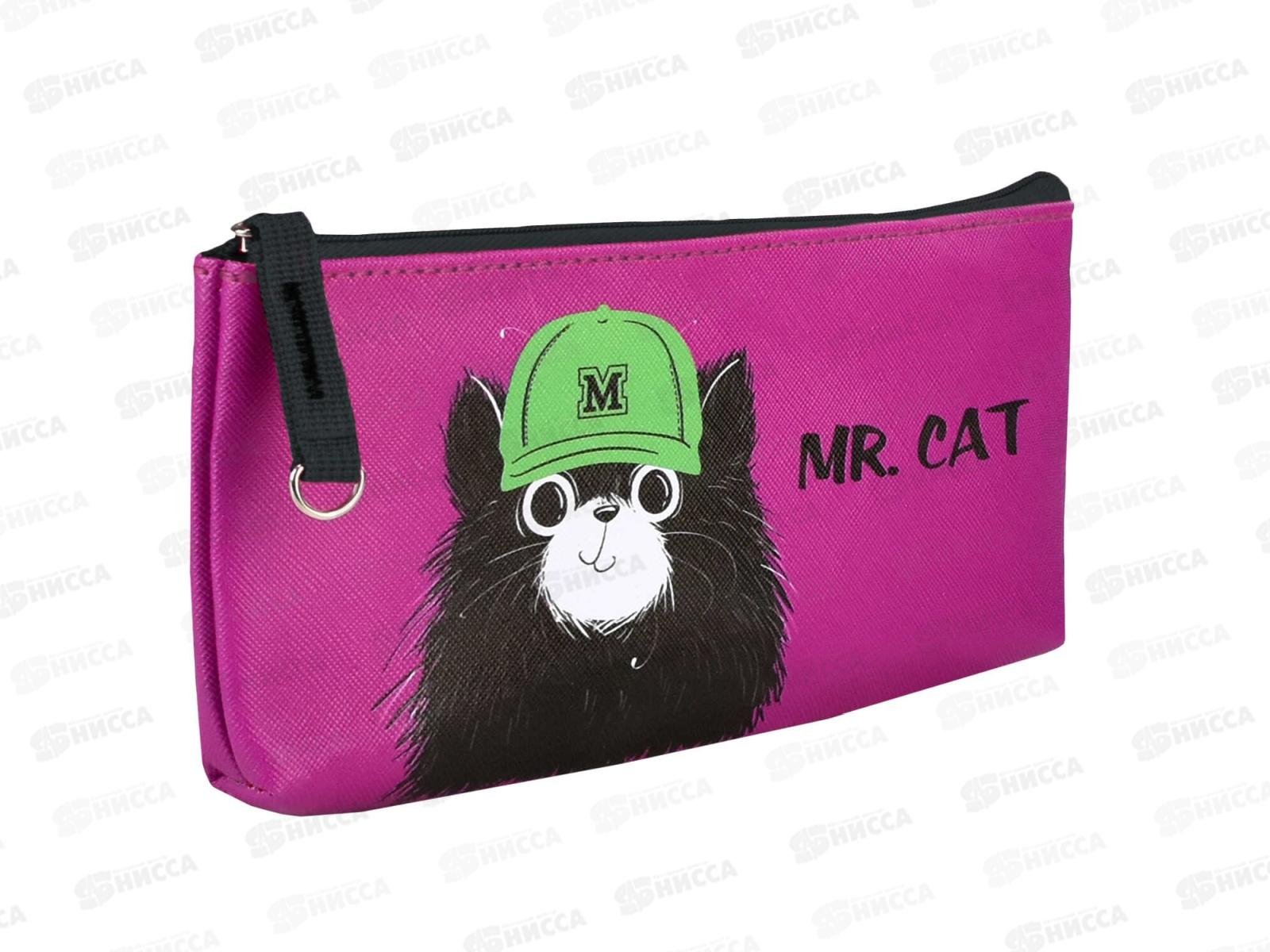 Пенал ФЕН Кот в кепке,20*7,5*2см.,62096*36