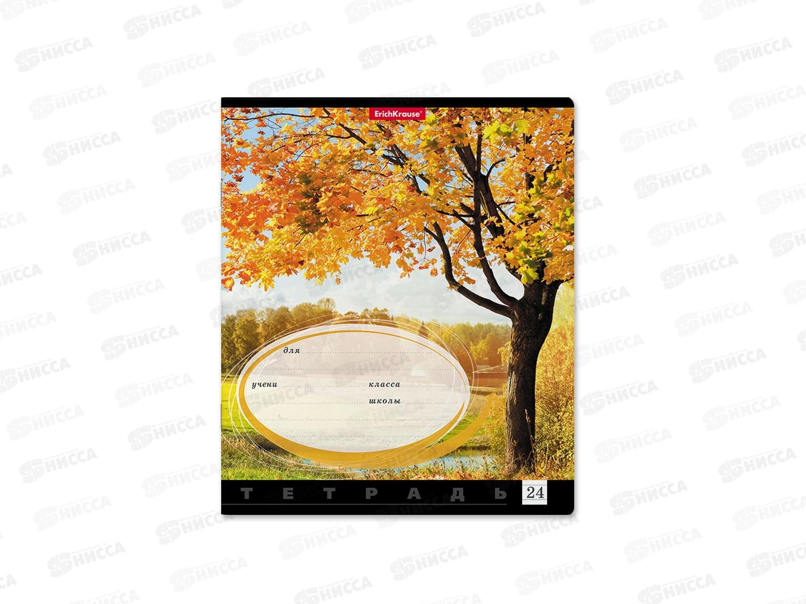 Тетрадь 24листа линия  ПОЛИ Родные просторы, 49230 *10/160