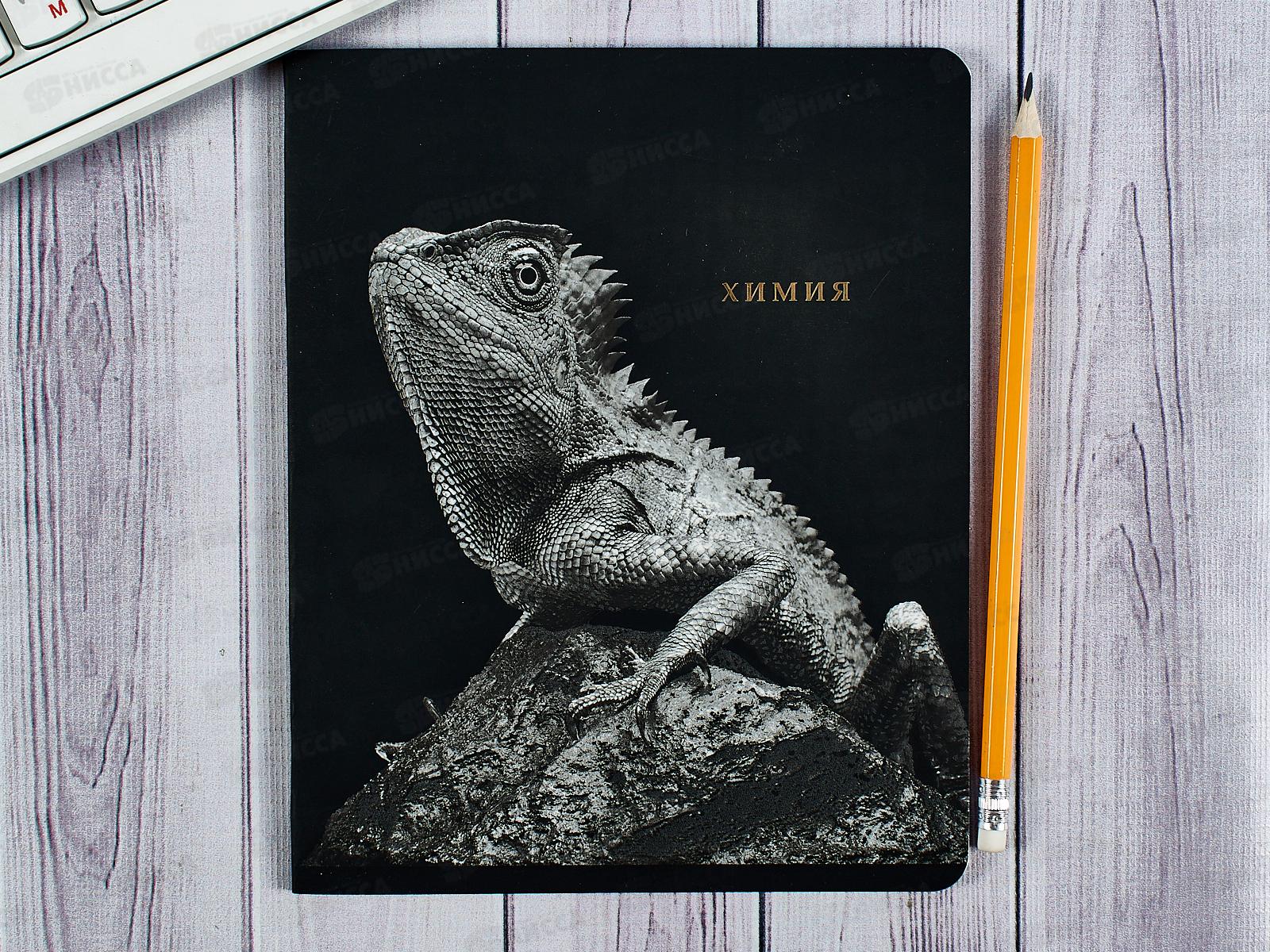 Тетрадь 48л кл. ПП &quotBLACKSOFT&quot Химия, 48-1741 *10/80