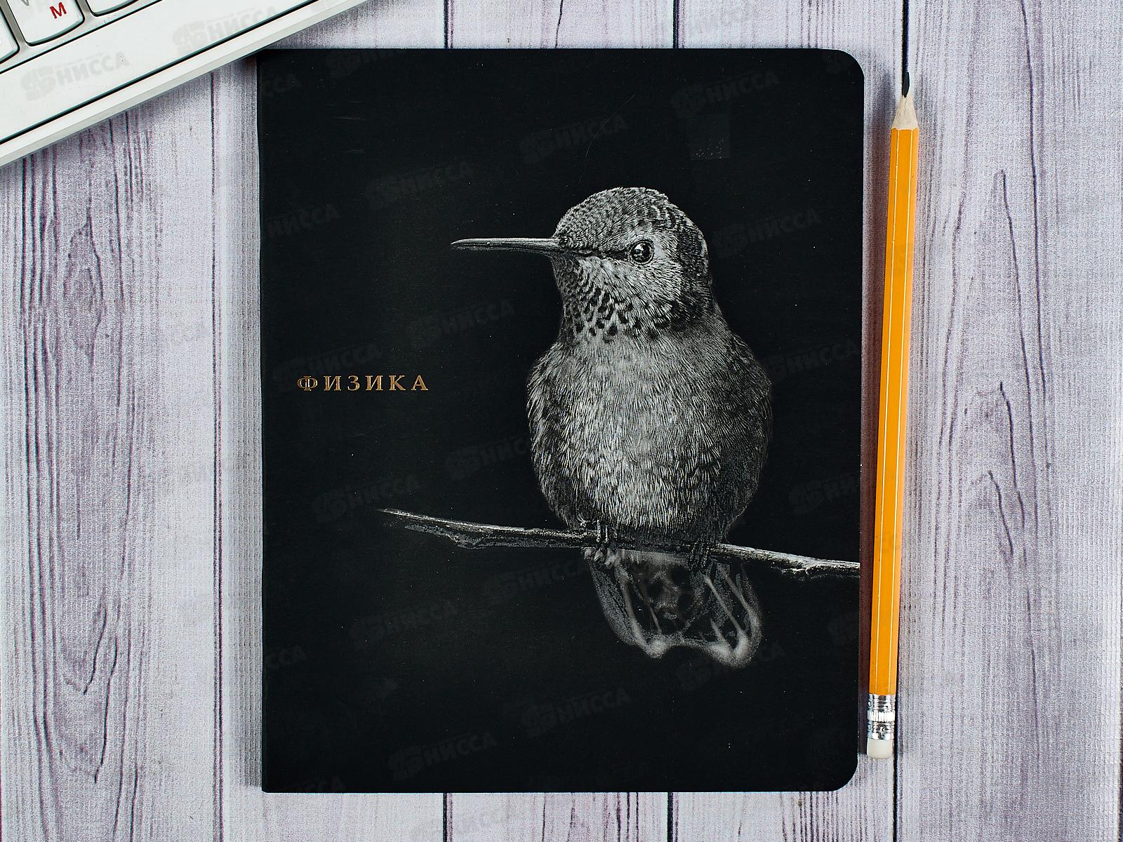 Тетрадь 48л кл. ПП &quotBLACKSOFT" Физика, 48-1740 *10/80