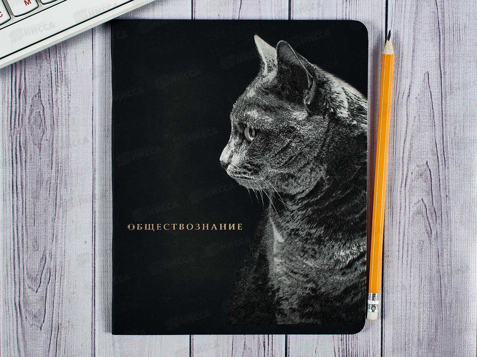 Тетрадь 48л кл. ПП &quotBLACKSOFT" Обществознание, 48-1739 *10/80