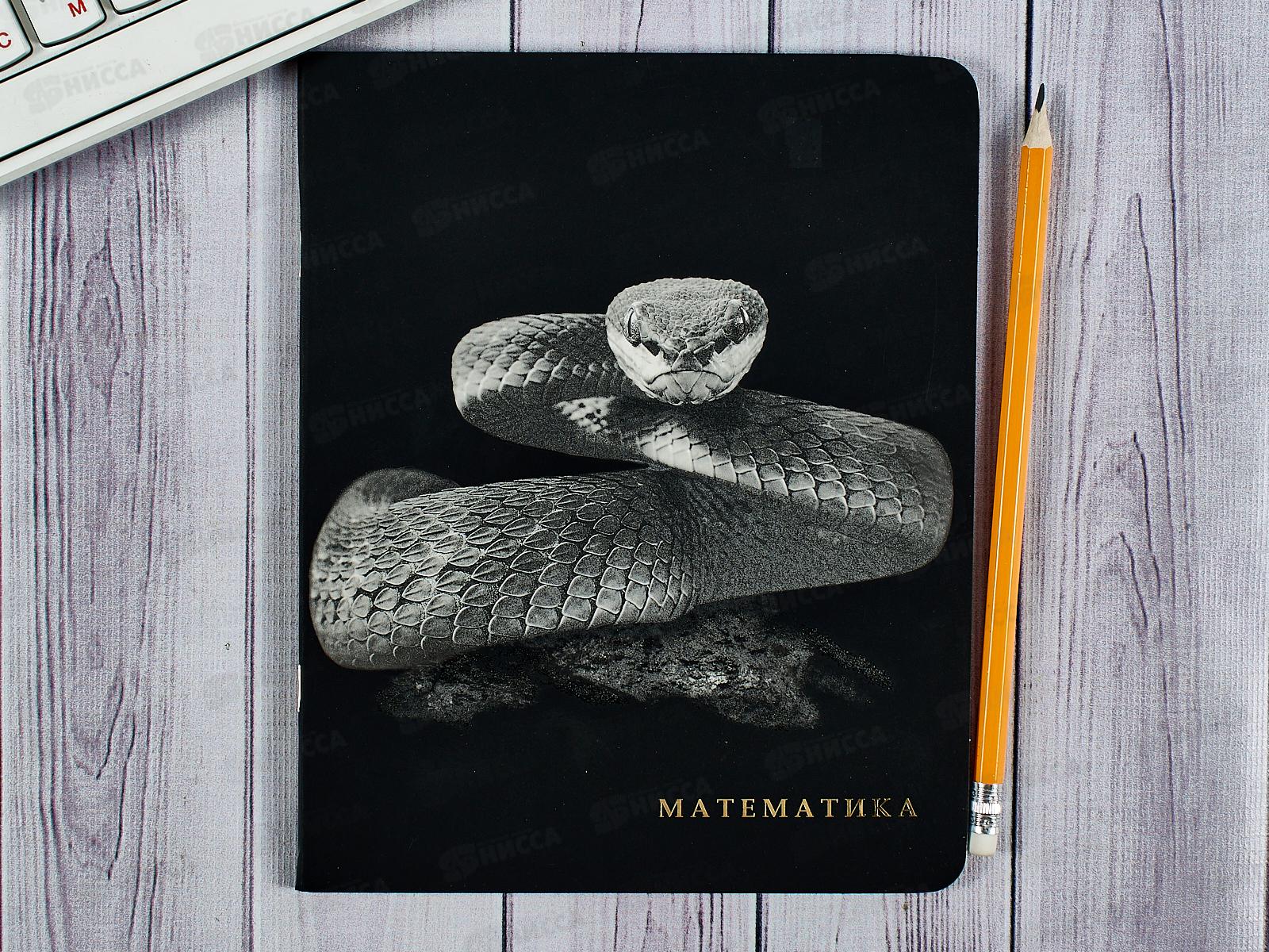 Тетрадь 48л кл. ПП &quotBLACKSOFT&quot Математика, 48-1736 *10/80