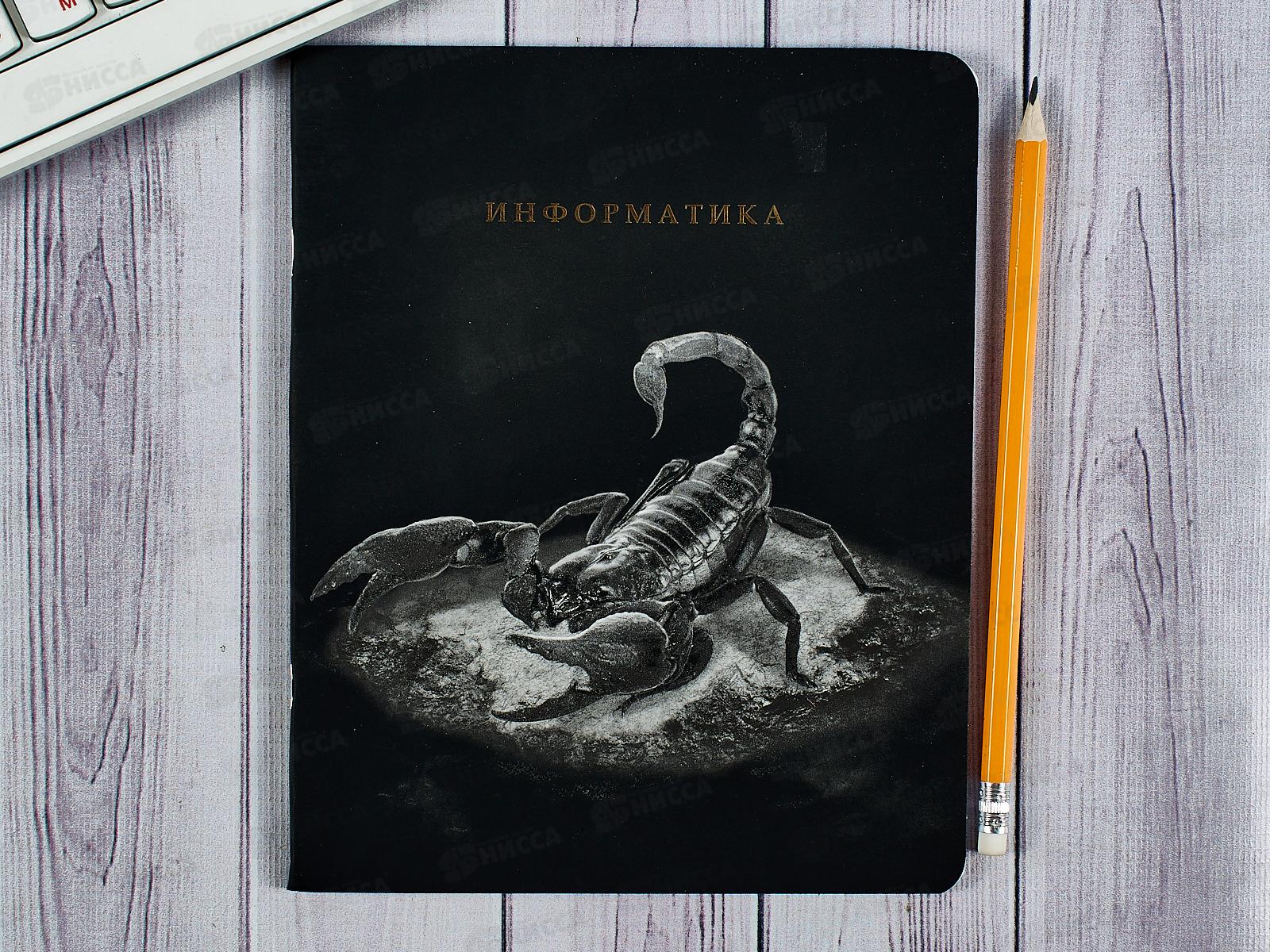 Тетрадь 48л кл. ПП &quotBLACKSOFT&quot Информатика, 48-1734 *10/80