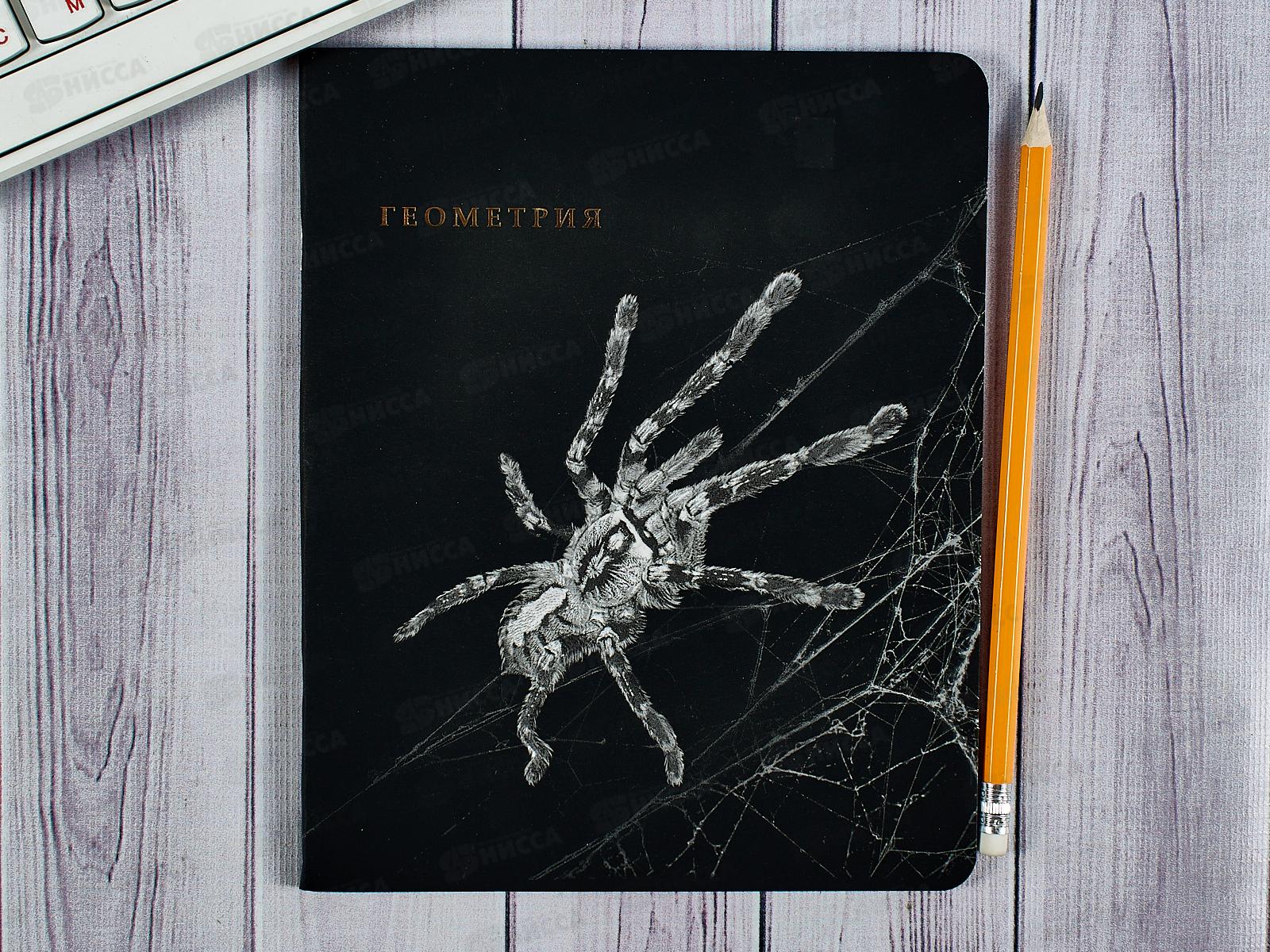 Тетрадь 48л кл. ПП &quotBLACKSOFT&quot Геометрия, 48-1732 *10/80