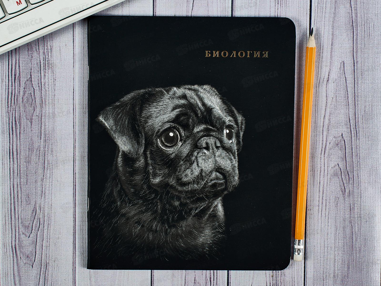 Тетрадь 48л кл. ПП &quotBLACKSOFT&quot Биология, 48-1750 *10/80