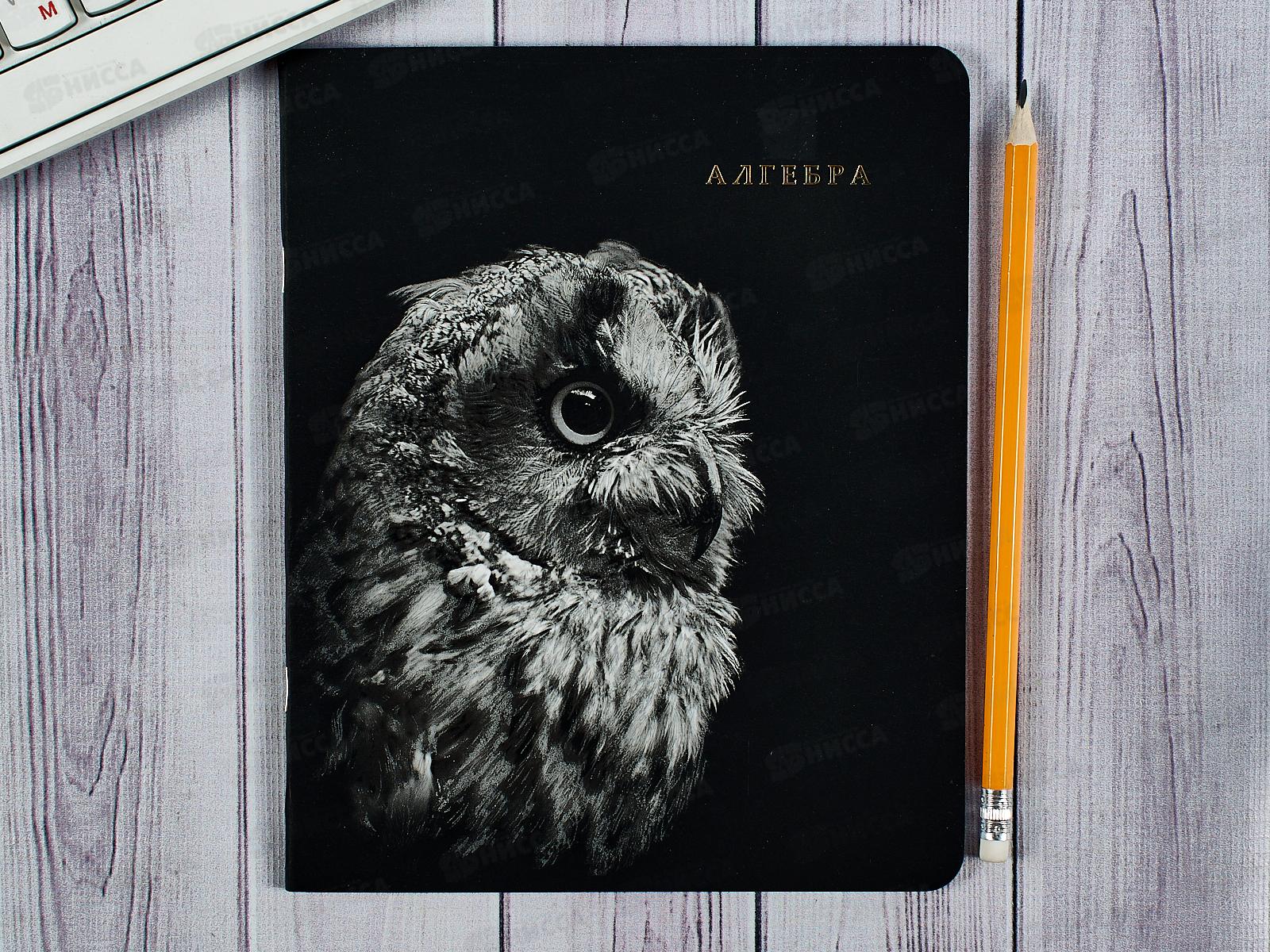 Тетрадь 48л кл. ПП &quotBLACKSOFT" Алгебра, 48-1748 *10/80