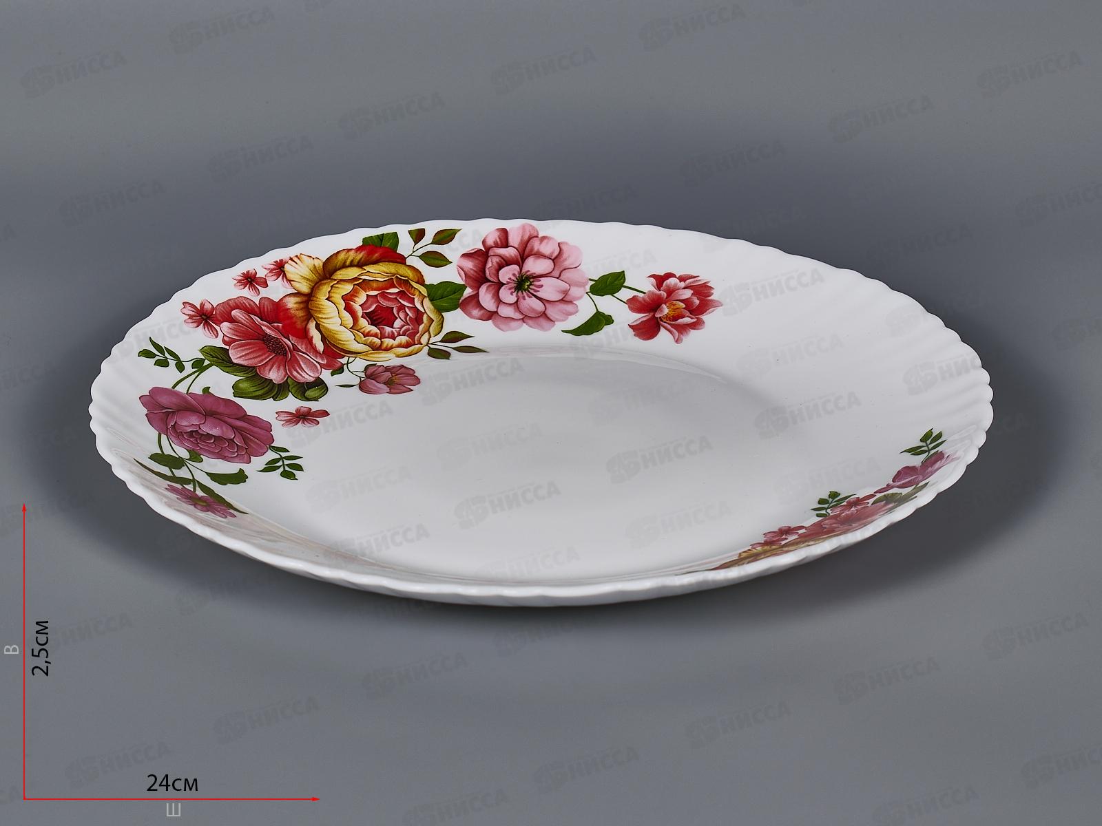 Тарелка плоская круглая d-24см (6/36) 69582-твч9,5