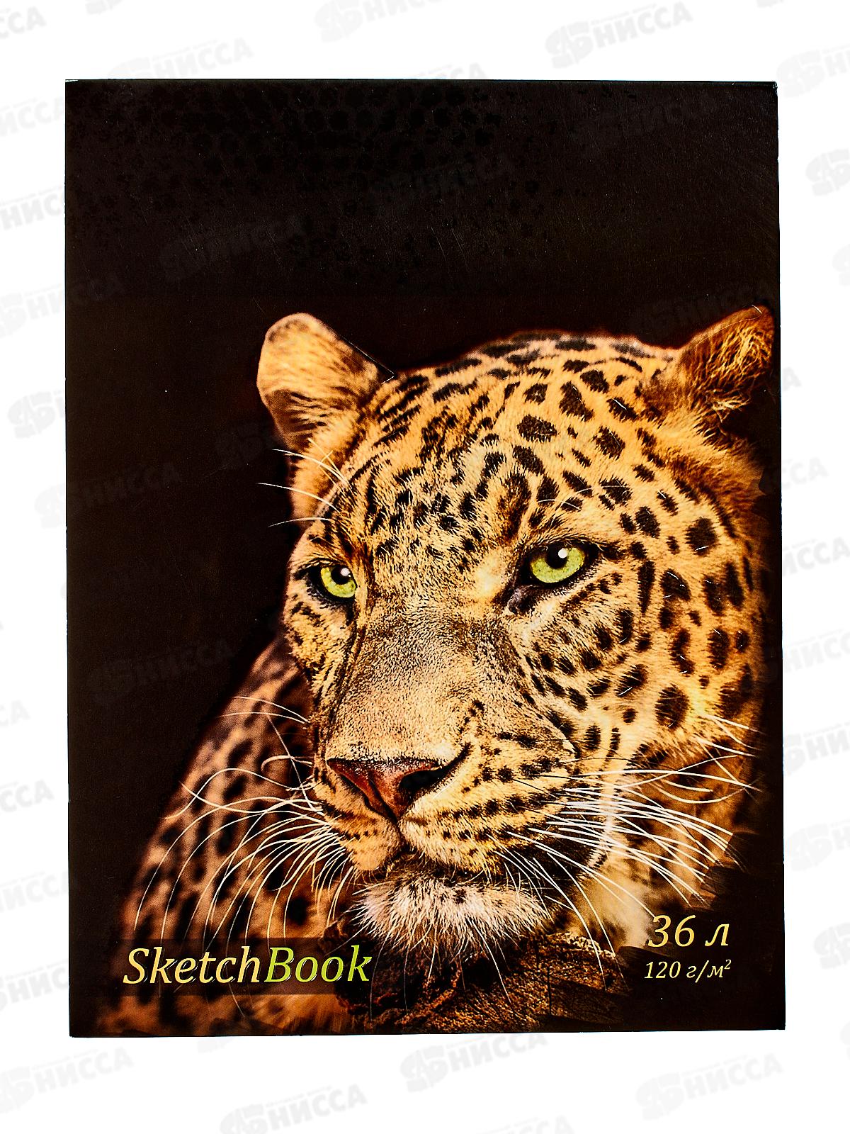 Блокнот (скетчбук) 36л Животный мир,конгрев,лак *10