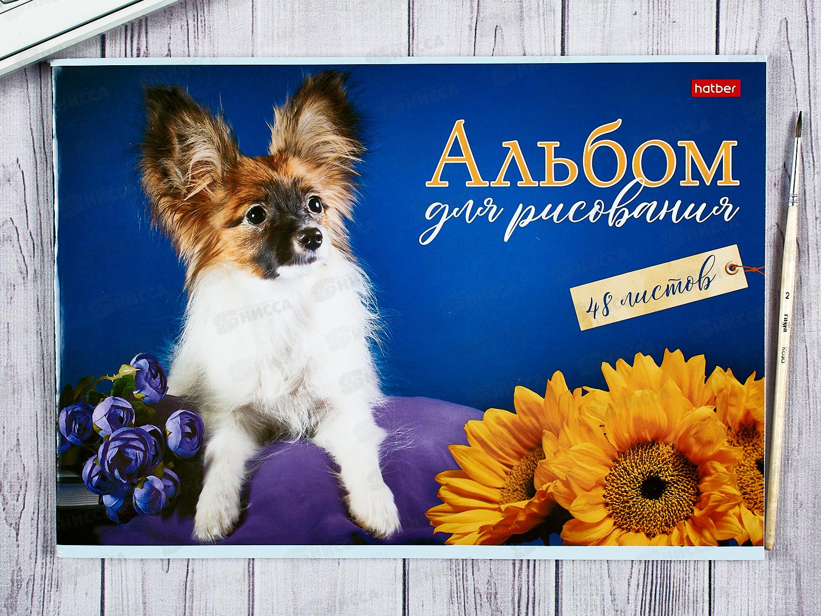 Альбом для рисования 48л Hatber Наши пёсики 079744*6/30