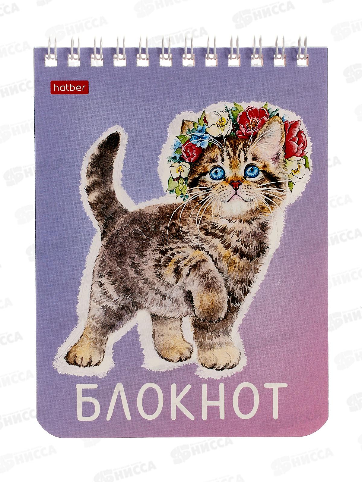 Блокнот 40л Hatber А6 Котики бывают разными *96