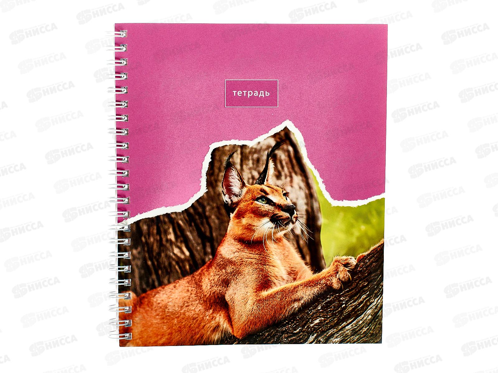 Тетрадь 80листов клетка  ЭКСМ А5 В мире животны, греб., 5 идов ТСЛ808446 *6/60