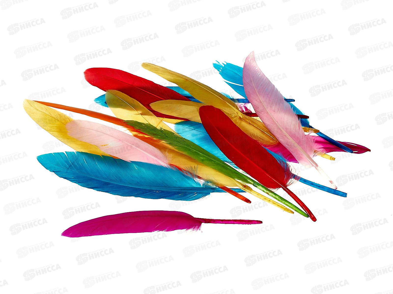 Декор материал Alingar Перья гладкие 20шт, Ассорти AL9049