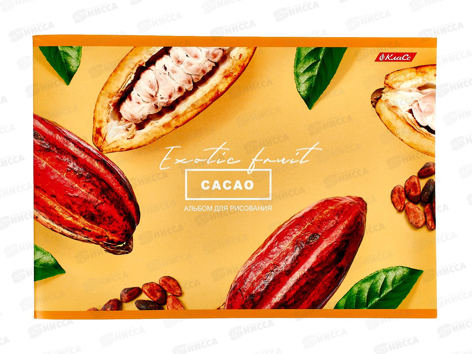 Альбом для рисования 48л SVETOCH Сочный фрукт, 000265  *5/25