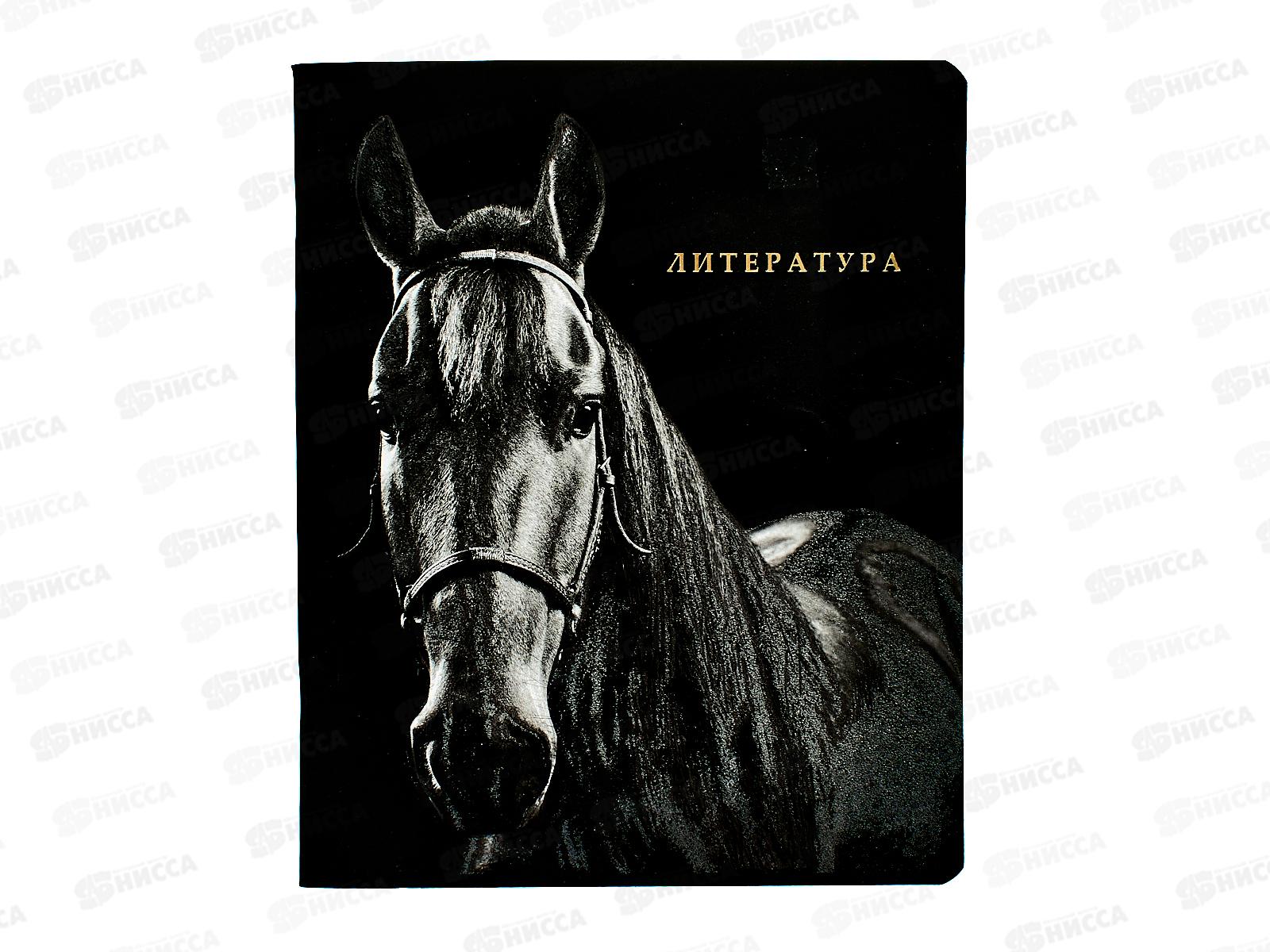 Тетрадь 48л лин. ПП &quotBLACKSOFT&quot Литература, 48-1742 *10/80