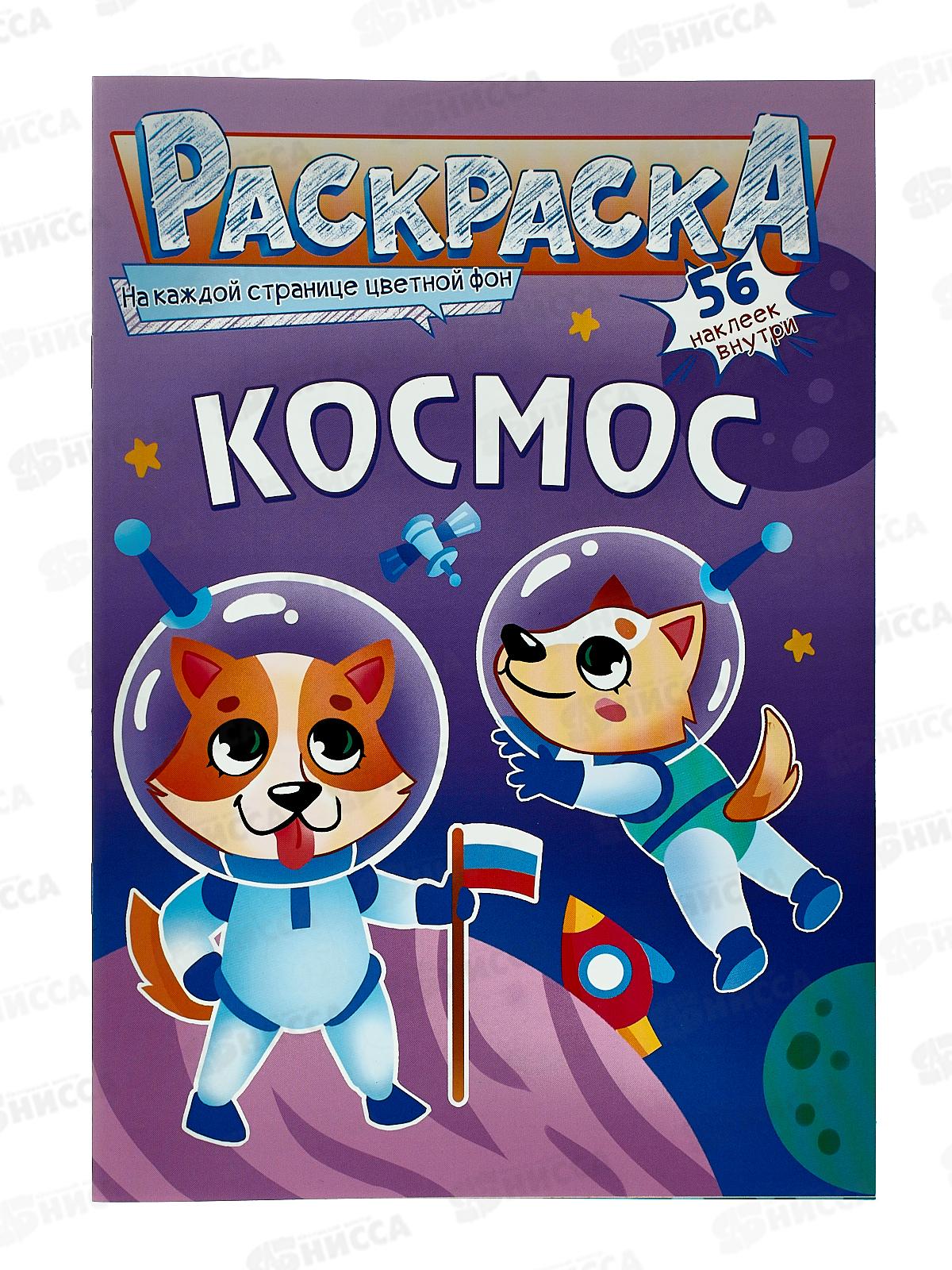 Раскраска ЛиС А5 с наклейками Космос, РНМ-608 *50