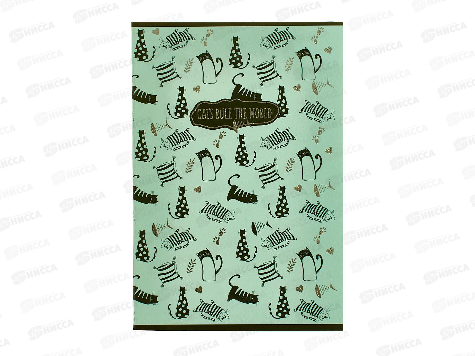 Тетрадь 48листов клетка АКАД Котовасия 13626/3- EAC*20/60