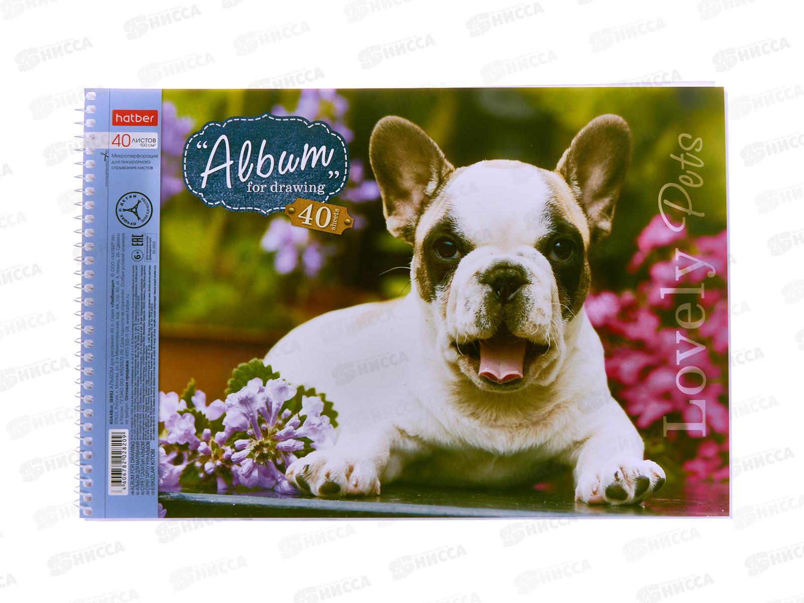 Альбом д/рис.40л Hatber Любимцы,004142 *5/35