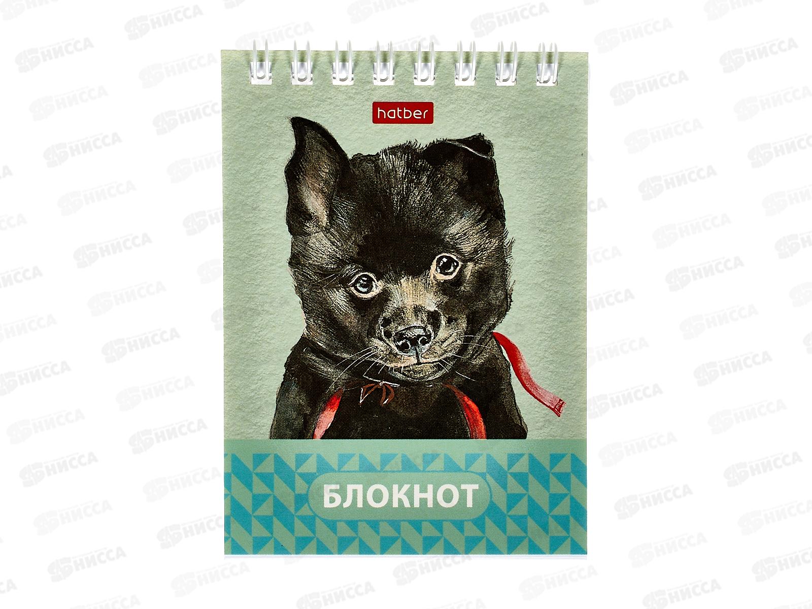 Блокнот 40л Hatber А7 Глазки,ушки,носик, греб *144