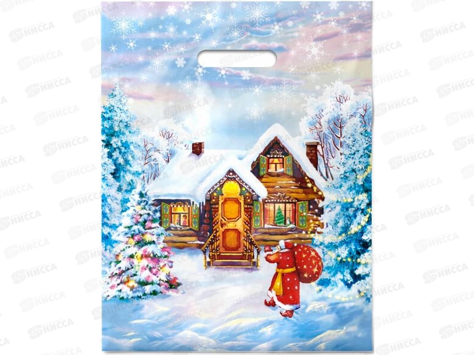 Пак. пробивной НГ 31*40 Зимняя сказка *50/500