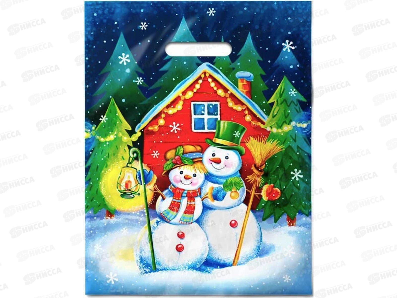 Пакет пробивной НГ 31*40 Снежная пара *50/500