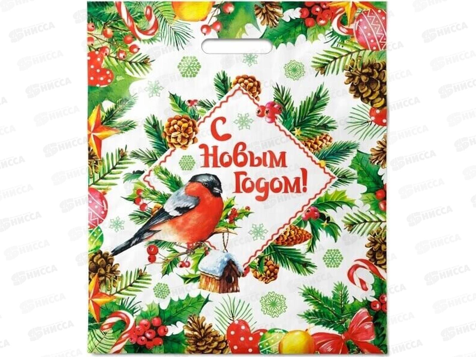 Пакет пробивной НГ 40*47  Снегирь *50/500