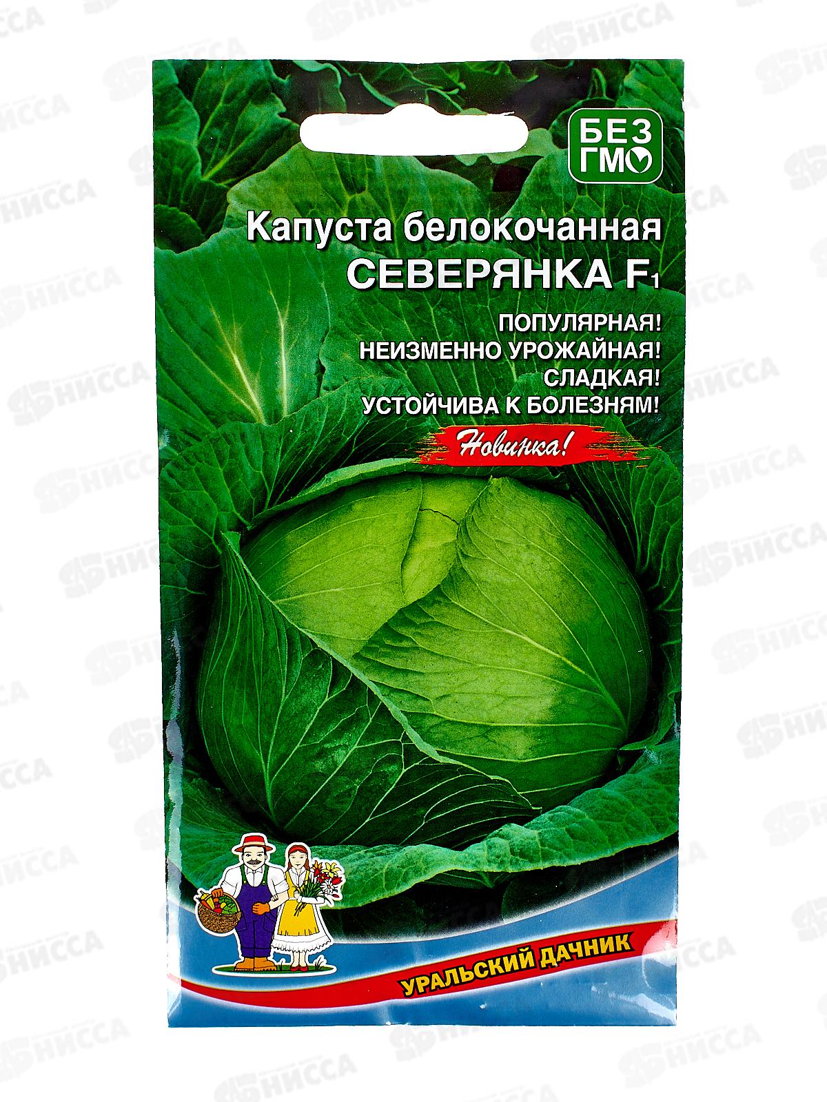 Капуста Северянка F1 Евро  *10 УрД +