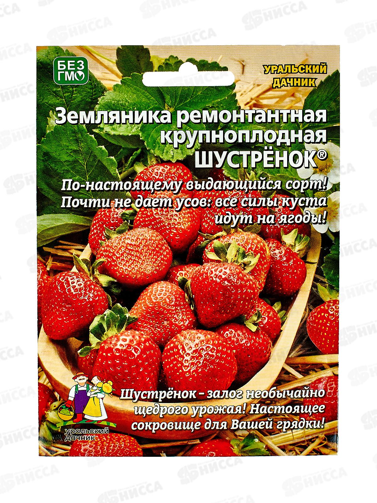 Земляника Шустренок ремонтантная  Евро *10 УрД