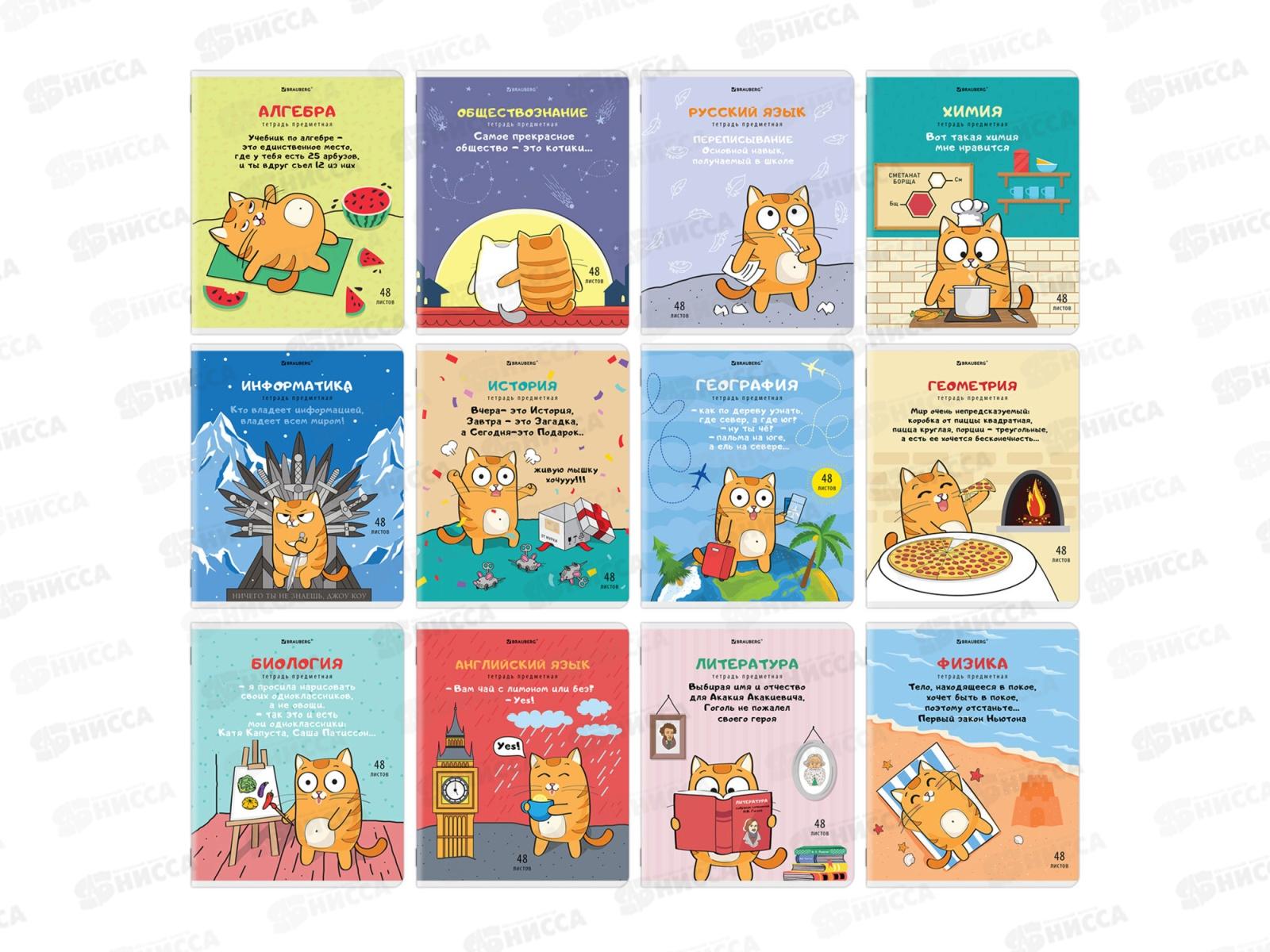 Набор 48листов тетрадей BRAU 12предм.,Кот-энтузиаст,404609*8